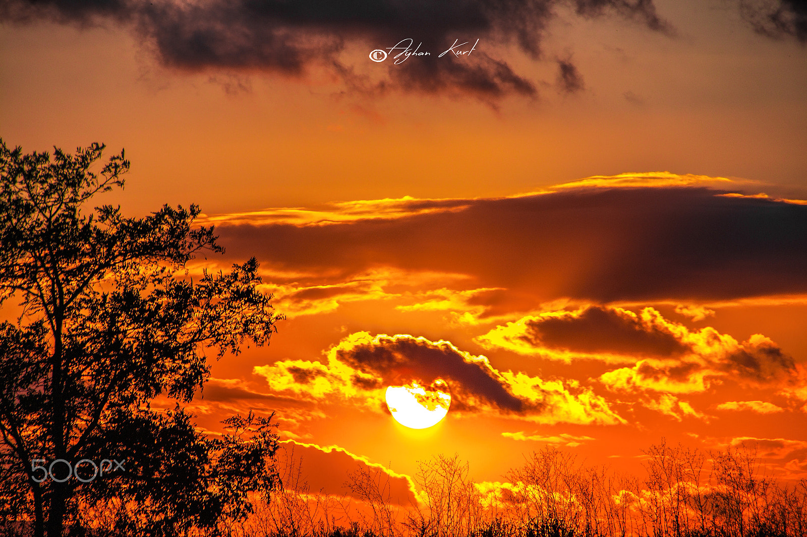 Sigma 18-250mm F3.5-6.3 DC OS HSM sample photo. Sundown photography