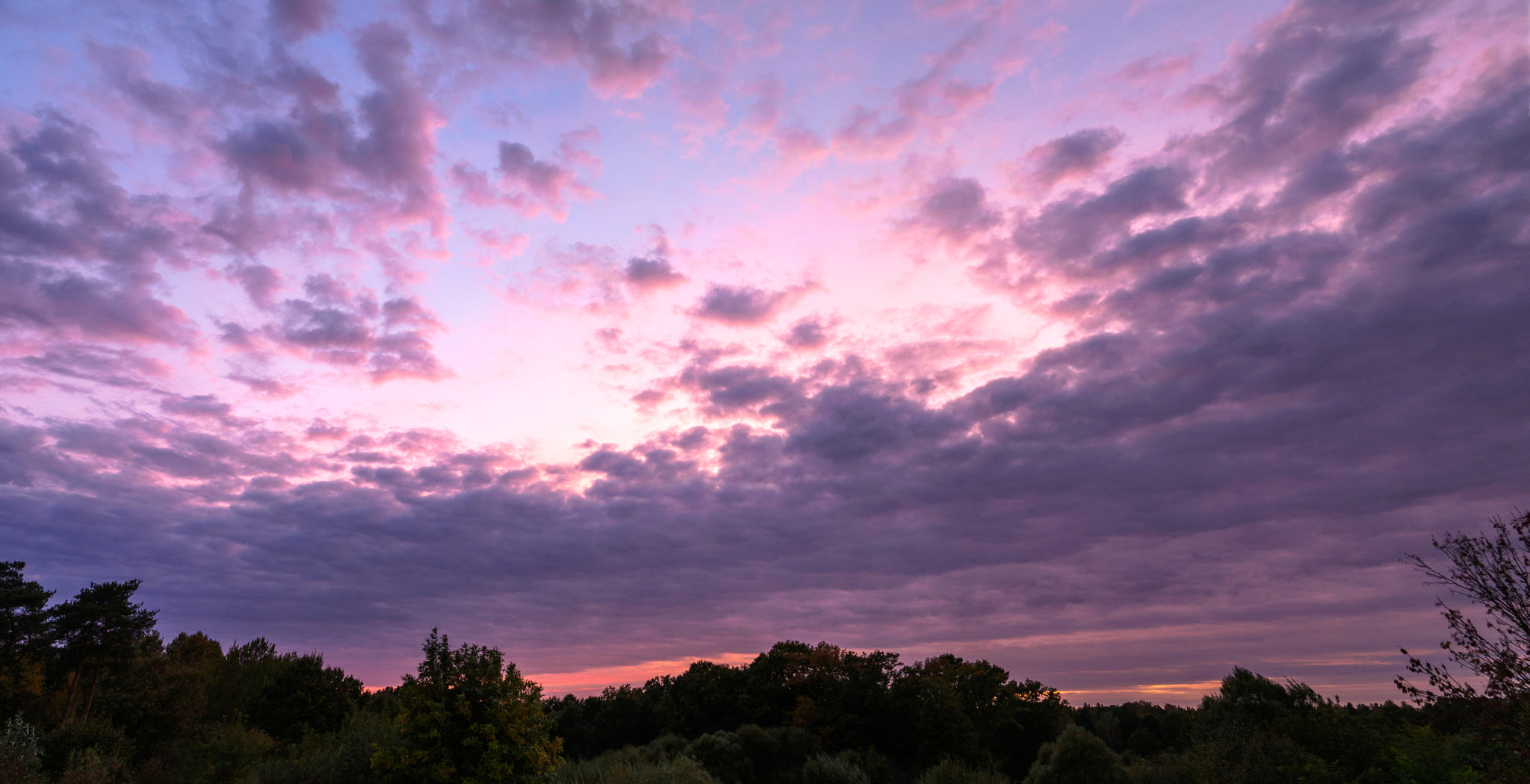 LUMIX G VARIO 14-42/F3.5-5.6 II sample photo. Pink end of sunday photography