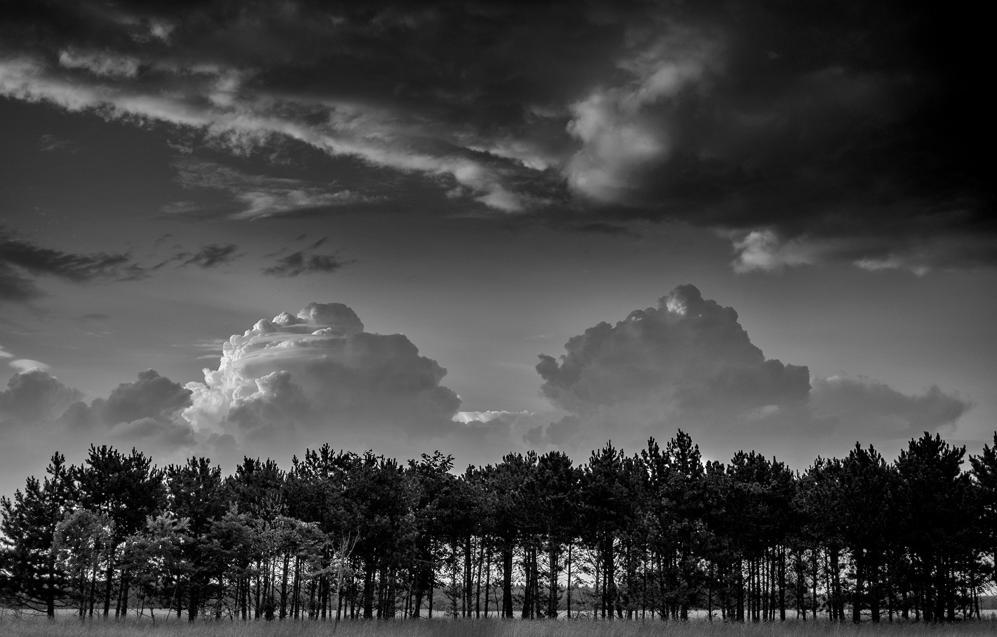 Fujifilm X-E2S + Fujifilm XF 27mm F2.8 sample photo. Storm rolling in photography