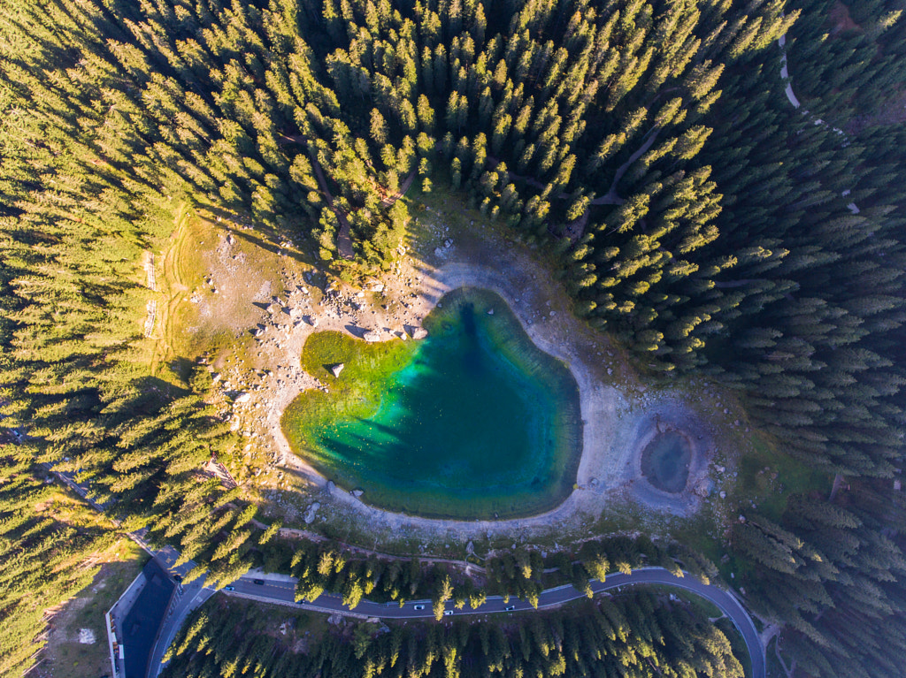 Natural Artist Palette by Luca Micheli ✅ on 500px.com