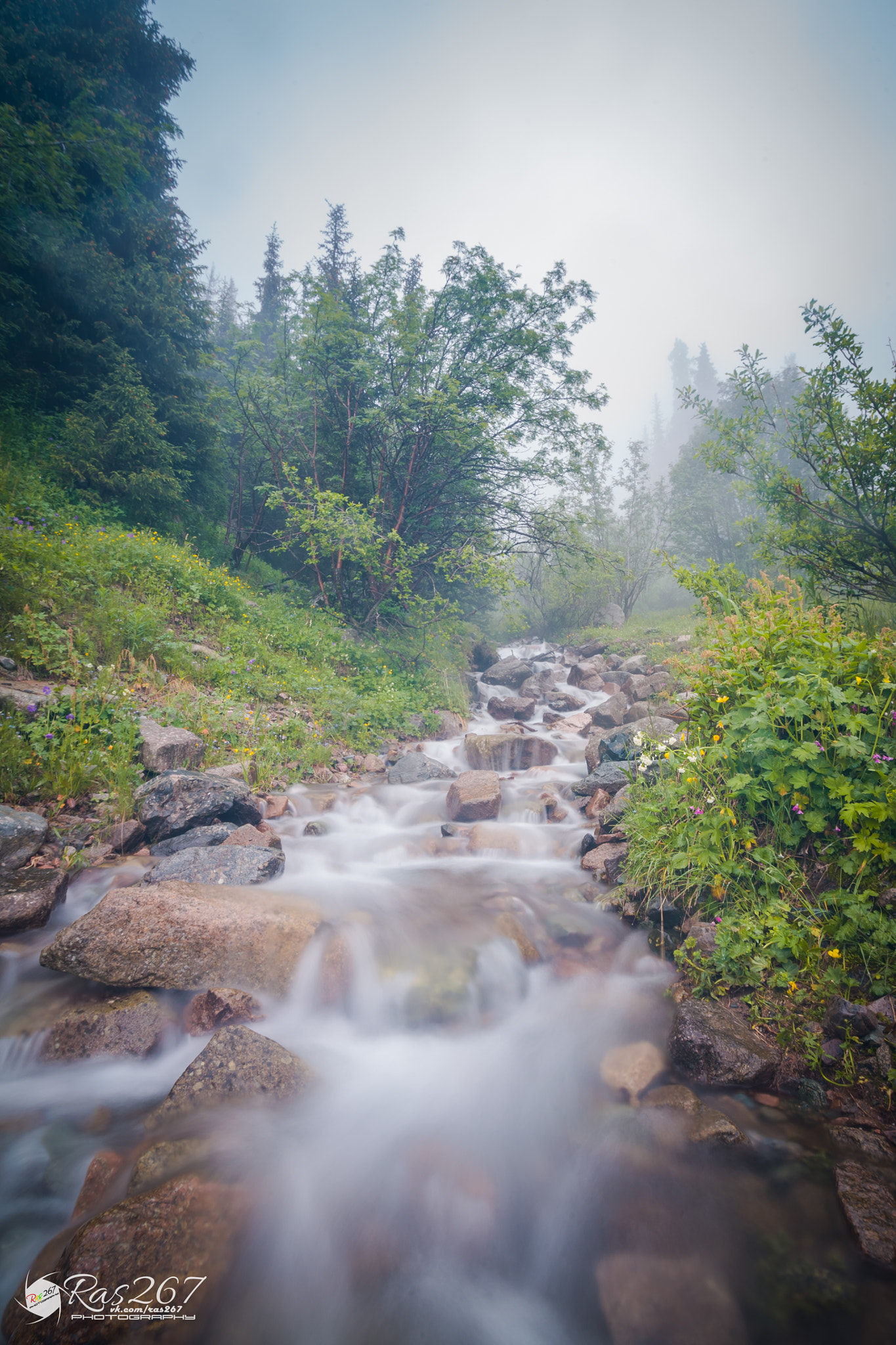 Sigma 17-35mm f/2.8-4 EX DG Aspherical HSM sample photo. Fog on the river photography