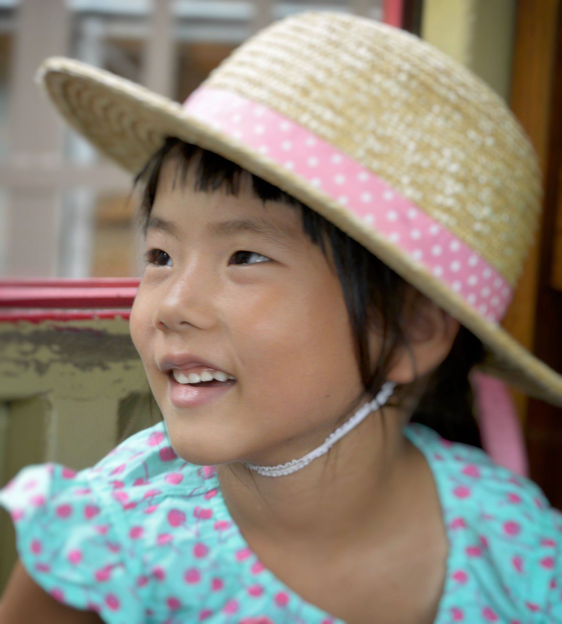 Nikon 1 Nikkor VR 30-110mm F3.8-5.6 sample photo. Japon photography