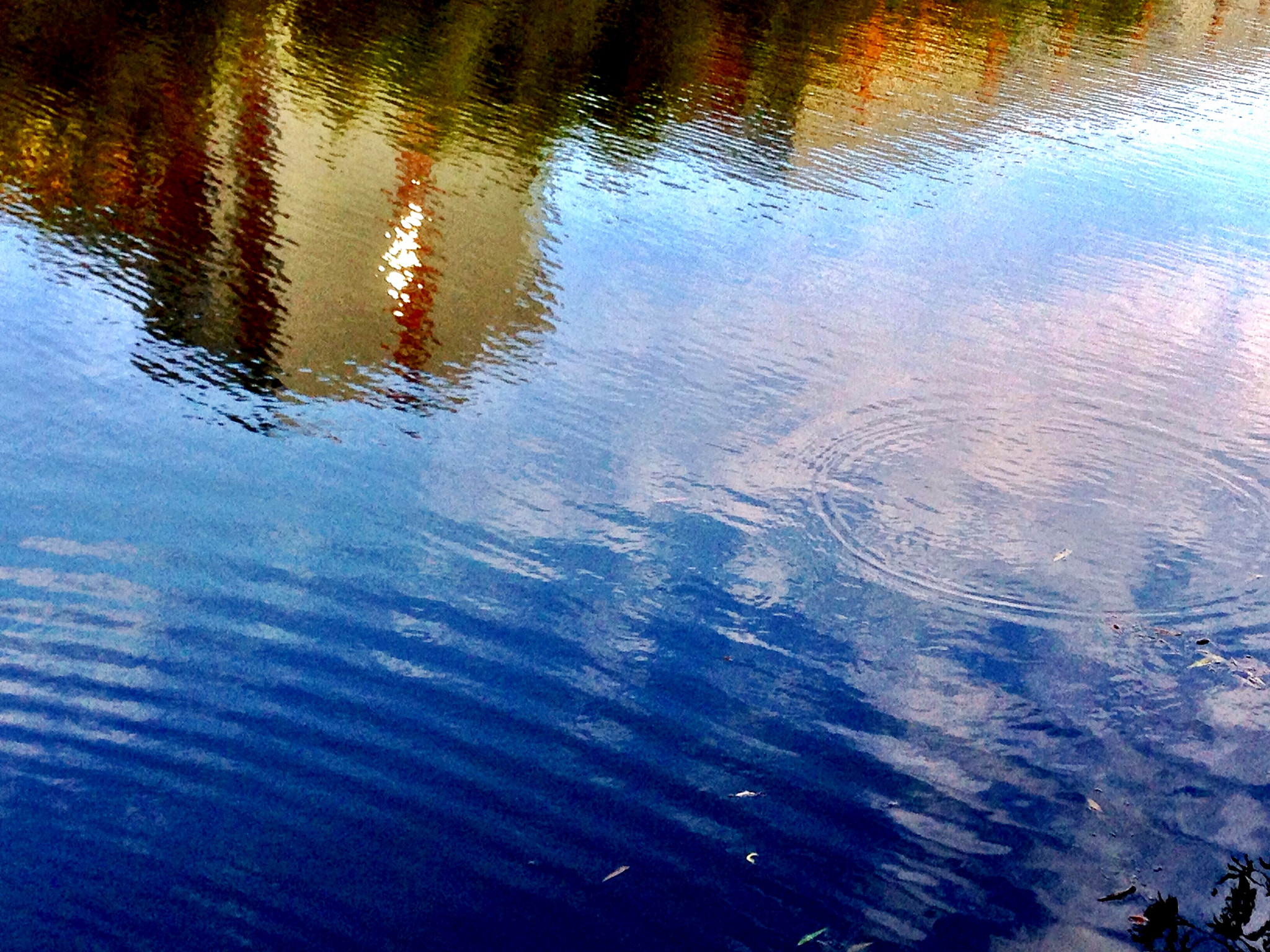 Apple iPhone5,2 sample photo. Ripples 涟漪 photography