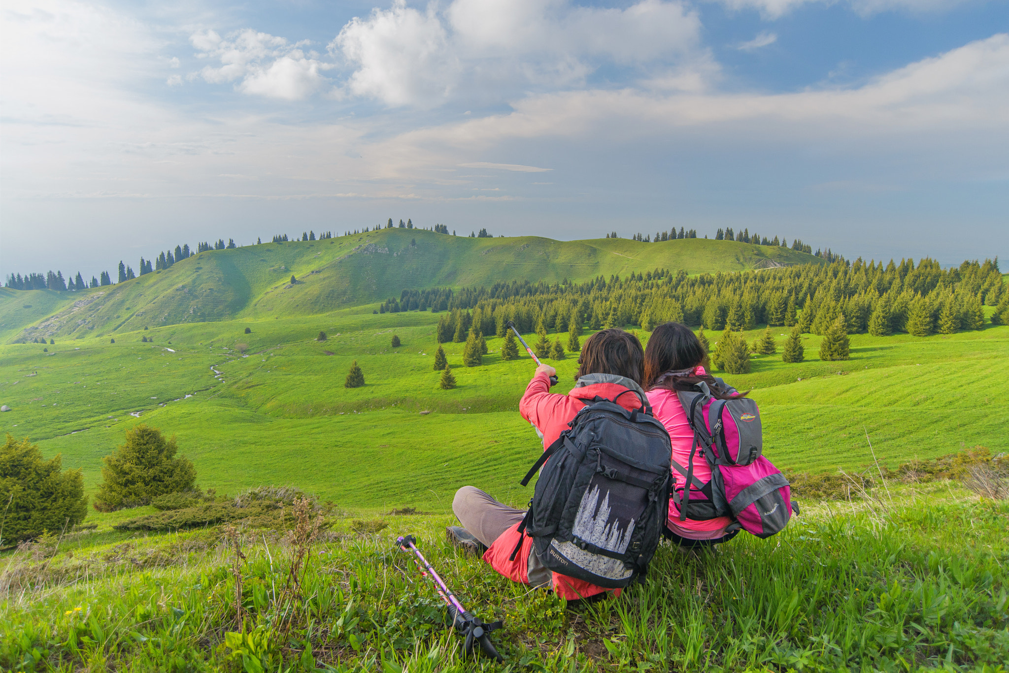 Nikon D600 sample photo. Travelers on the meadow photography