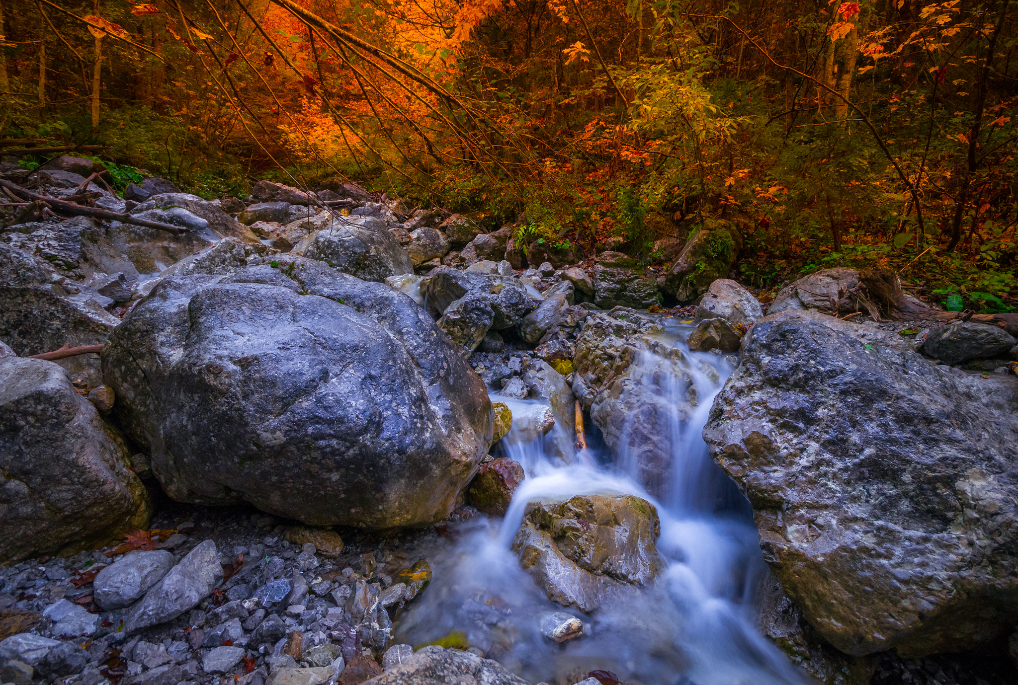 Sigma AF 10-20mm F4-5.6 EX DC sample photo. Allgäu photography