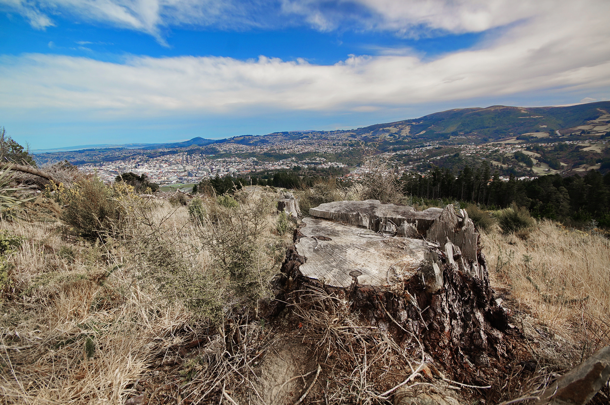 Sigma AF 10-20mm F4-5.6 EX DC sample photo. Dunedin city photography