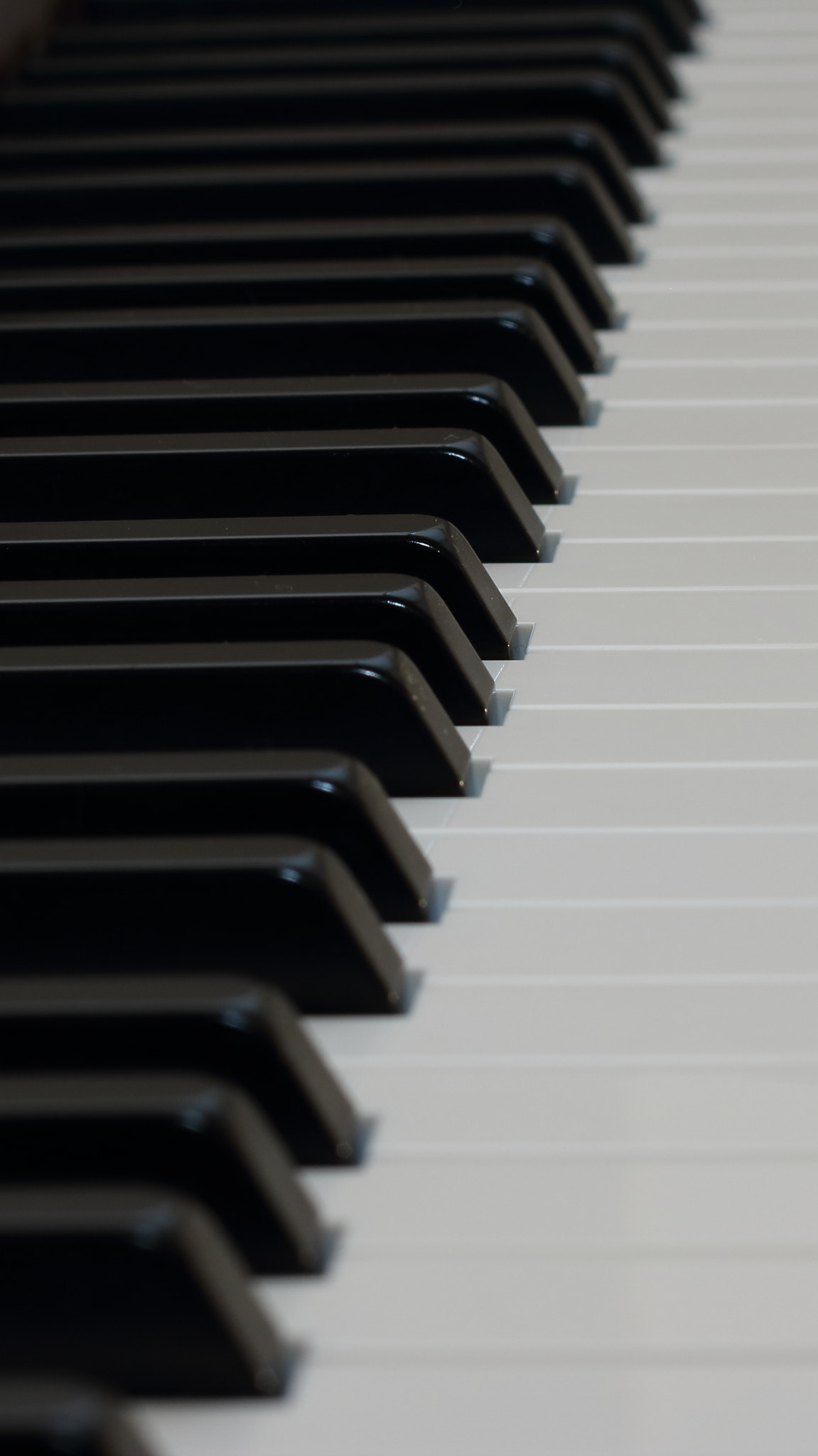 Canon EOS 750D (EOS Rebel T6i / EOS Kiss X8i) + Canon EF 50mm F1.8 II sample photo. Ebony and ivory photography