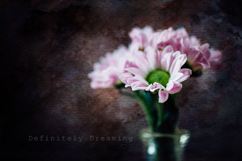 Sony a99 II sample photo. Simply daisies photography