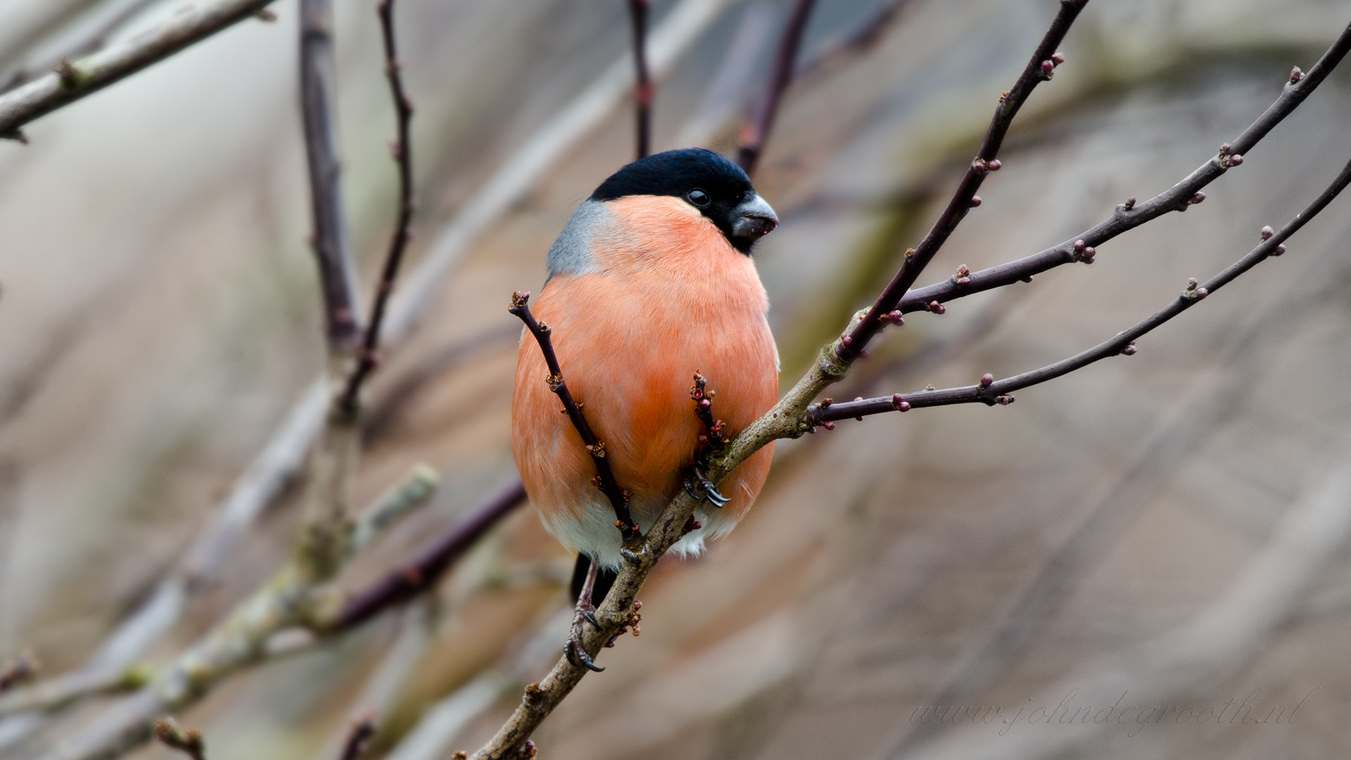 Sigma 50-500mm F4.5-6.3 DG OS HSM sample photo. () photography