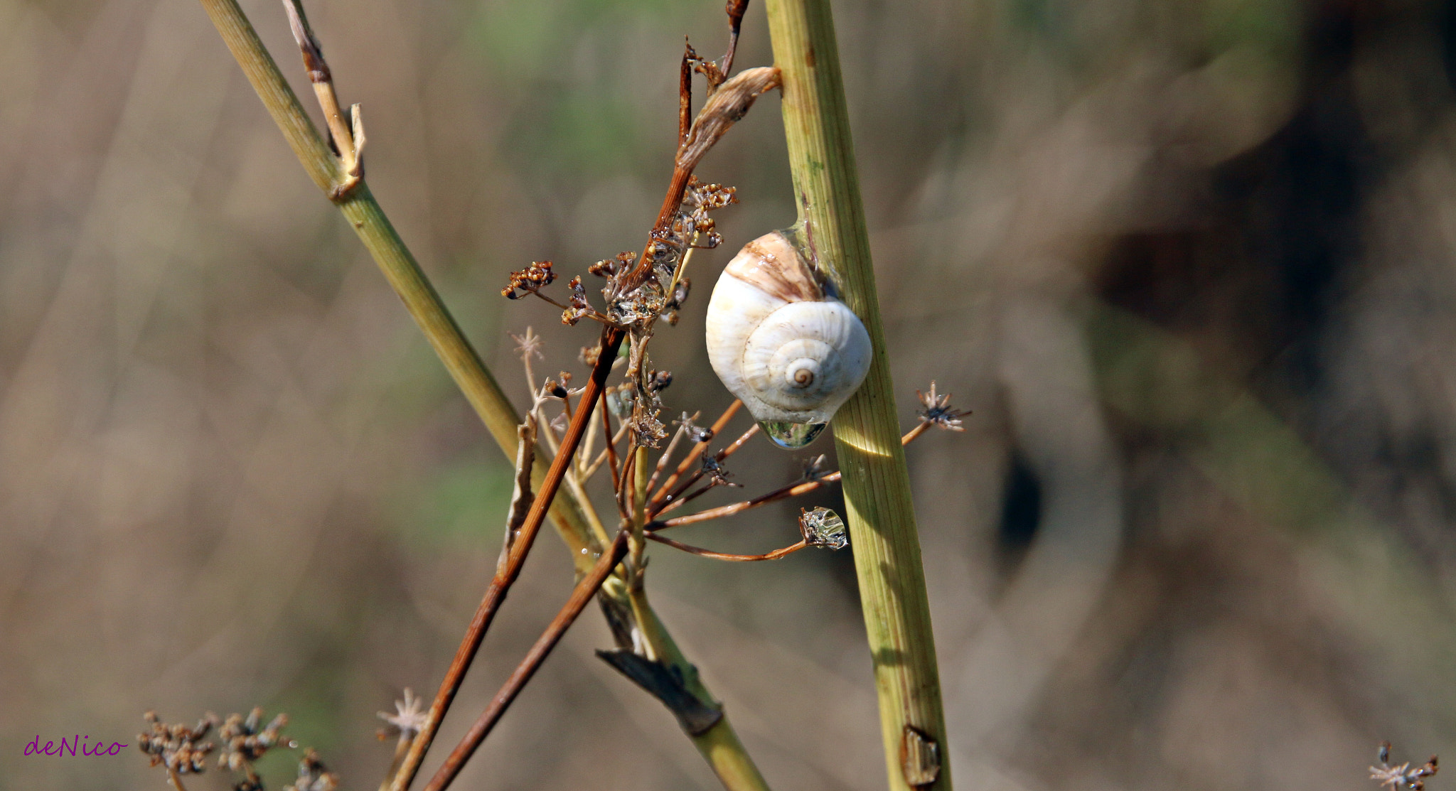 Sigma 24-105mm f/4 DG OS HSM | A sample photo. Img photography
