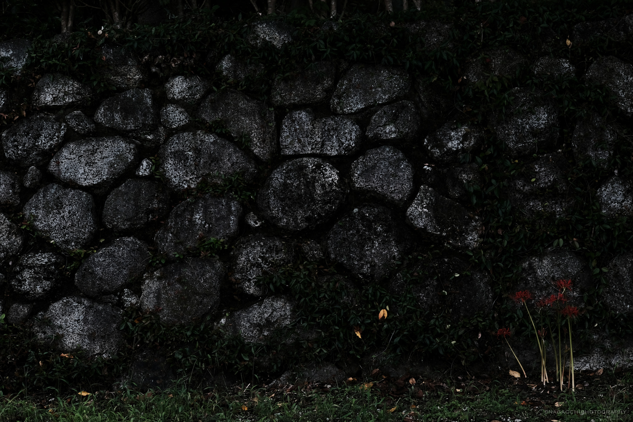 Fujifilm X-Pro2 + Fujifilm XF 55-200mm F3.5-4.8 R LM OIS sample photo. Stone wall photography