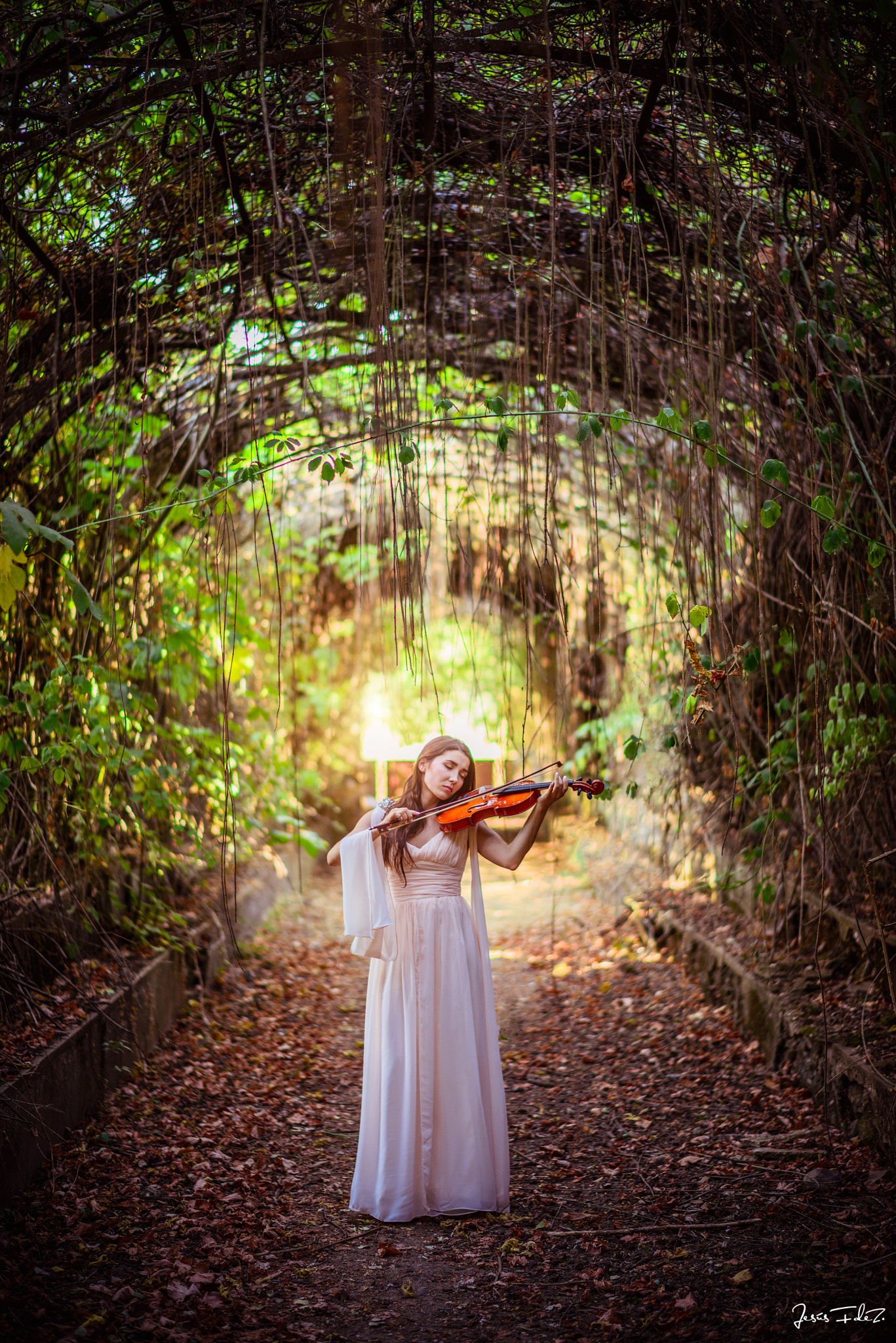 Nikon D610 + Nikon AF-S Nikkor 58mm F1.4G sample photo. Lady with the violin photography