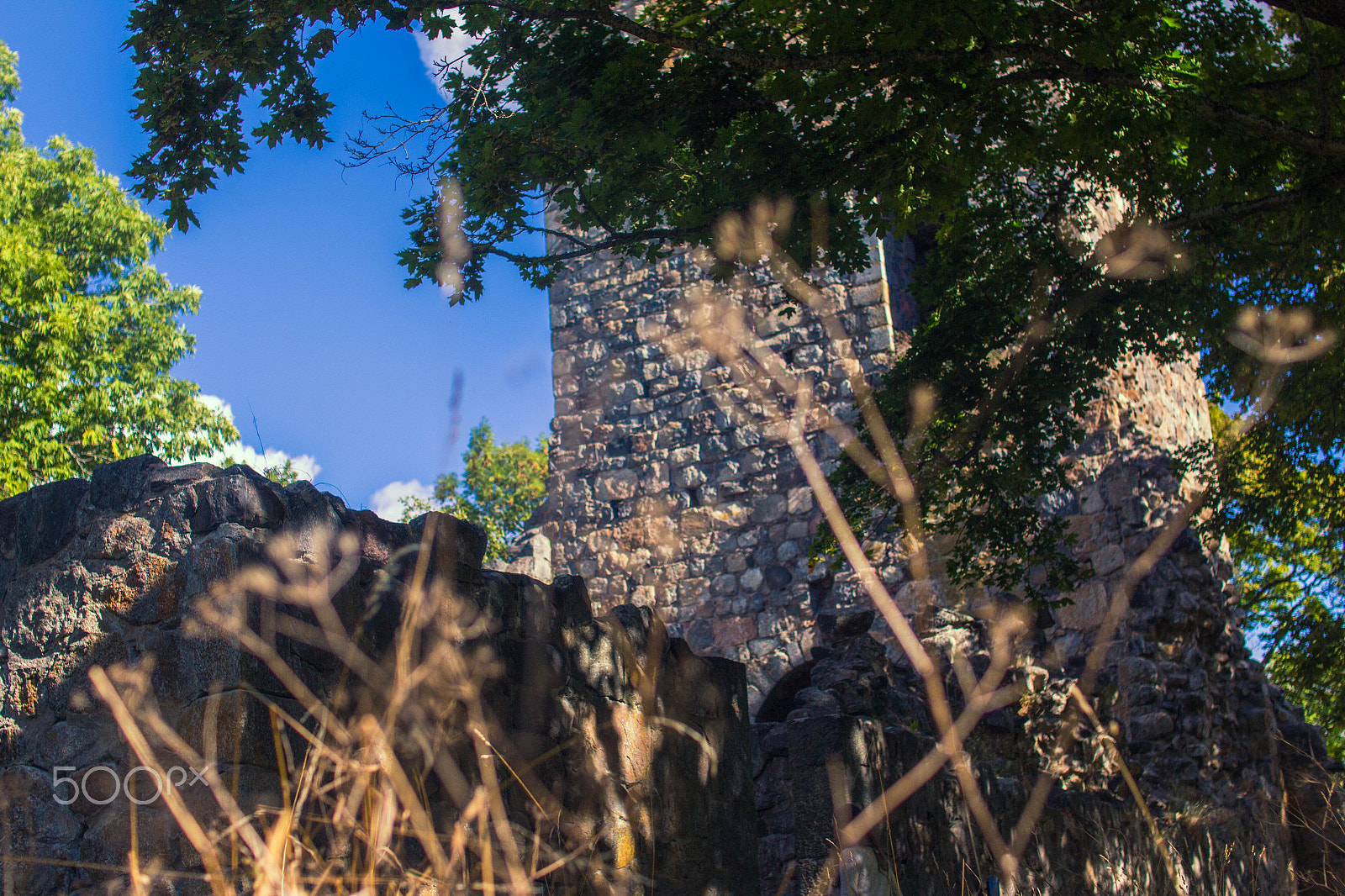 Sigma 30mm F1.4 EX DC HSM sample photo. Something hiden photography