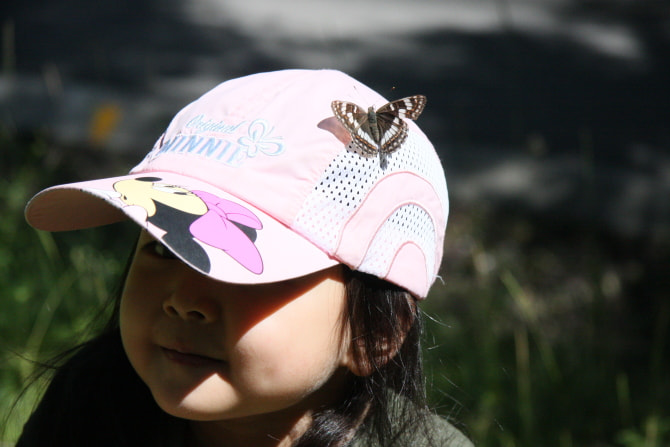 Canon EOS 40D + 6 IS USM sample photo. 抓拍 photography
