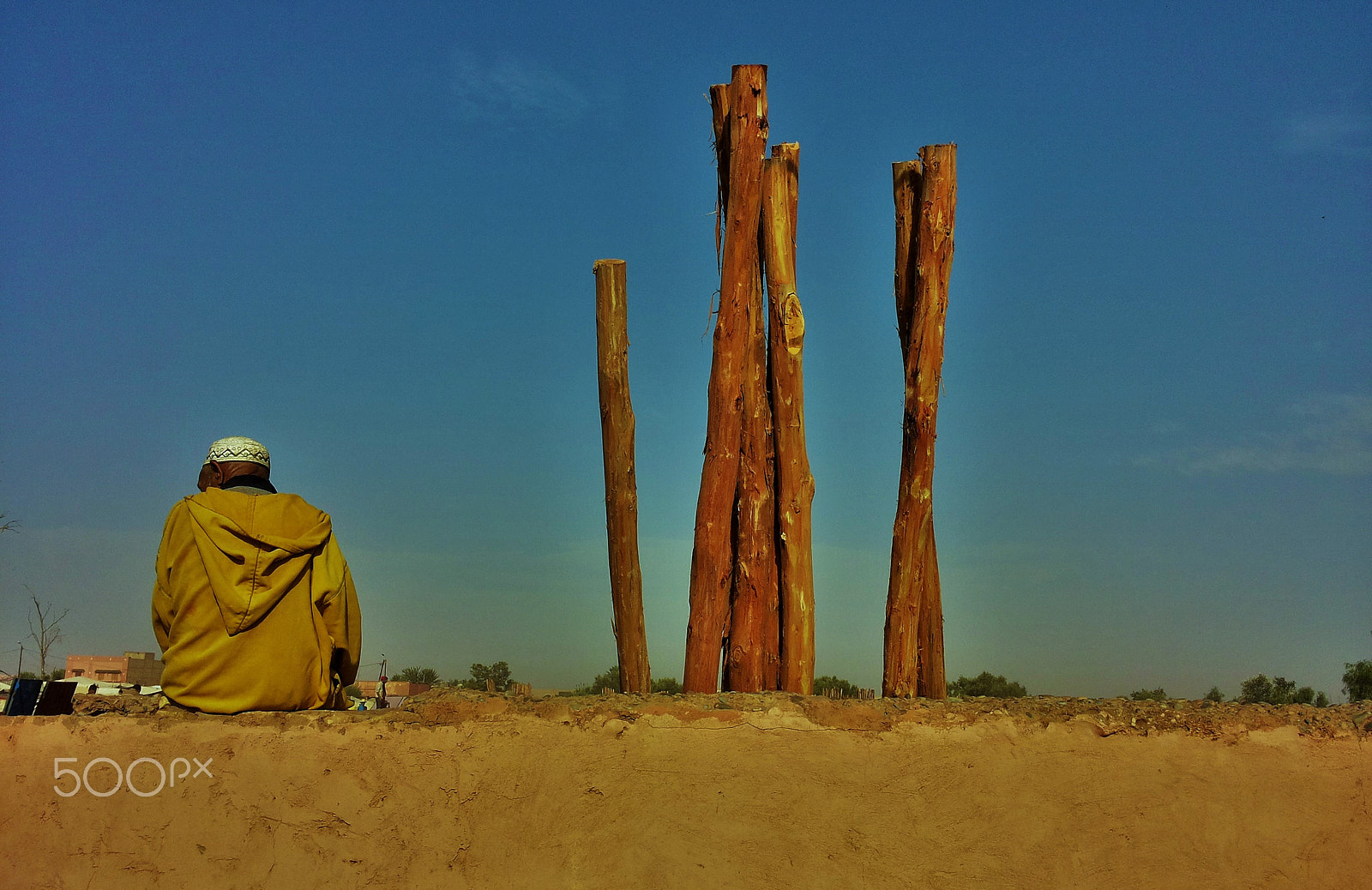 Samsung Galaxy S2 Plus sample photo. Turmeric photography