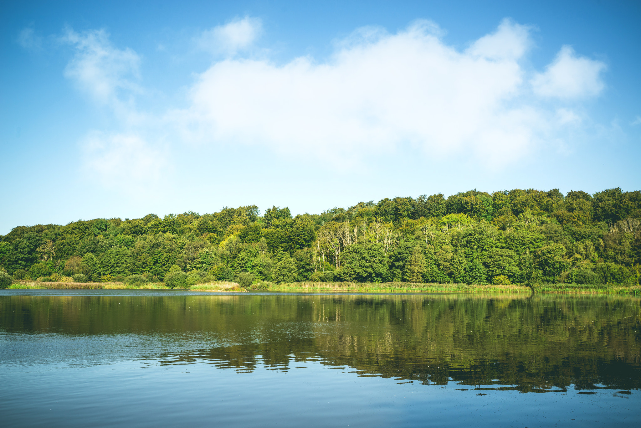 Sony a7R + Sony Vario-Sonnar T* 16-35mm F2.8 ZA SSM sample photo. Idyllic lake landscape with trees photography