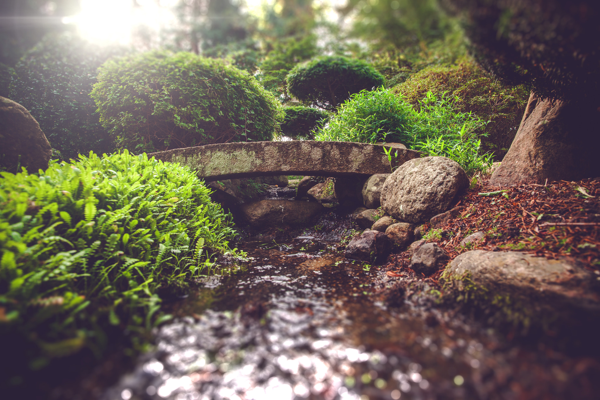 Sony Alpha DSLR-A900 sample photo. Smale stone bridge in a spiritual garden photography