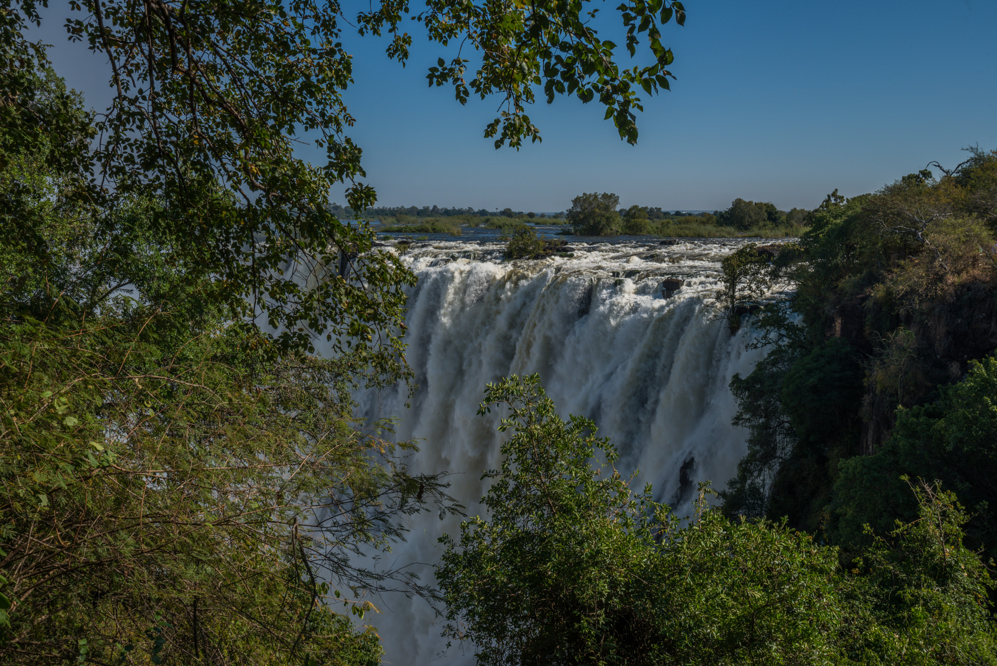 Nikon D800 + Nikon AF Nikkor 18-35mm F3.5-4.5D IF ED sample photo. Glimpse of victoria falls framed by branches photography
