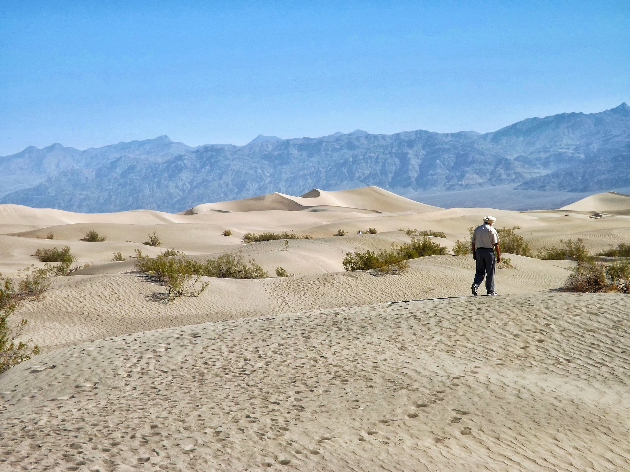 Fujifilm FinePix SL240 sample photo. Death valley, searching the treasures photography