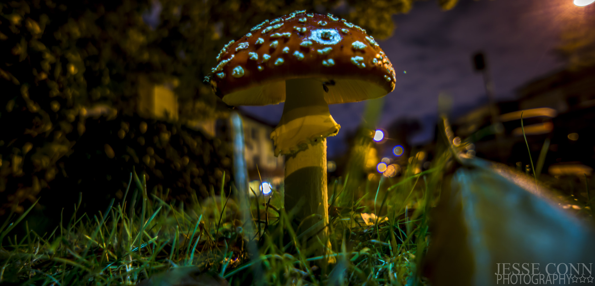 Sony Alpha NEX-7 + Sony E 16mm F2.8 sample photo
