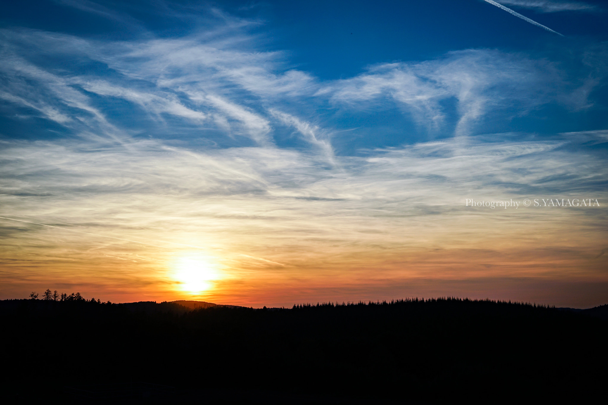 Sony Planar T* FE 50mm F1.4 ZA sample photo. Sunset photography