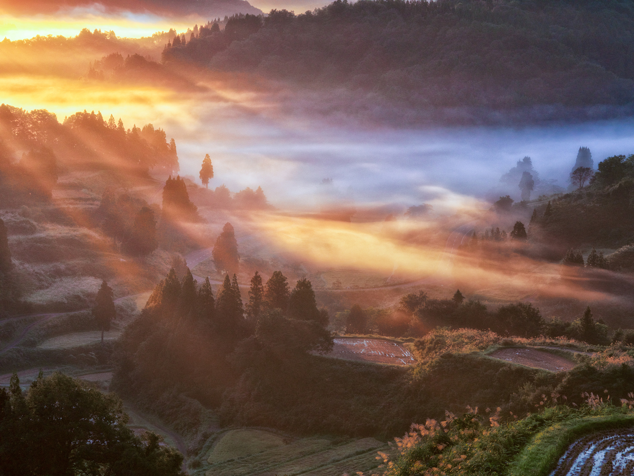 Panasonic Lumix DMC-G7 + Sigma 60mm F2.8 DN Art sample photo. Morning glow photography