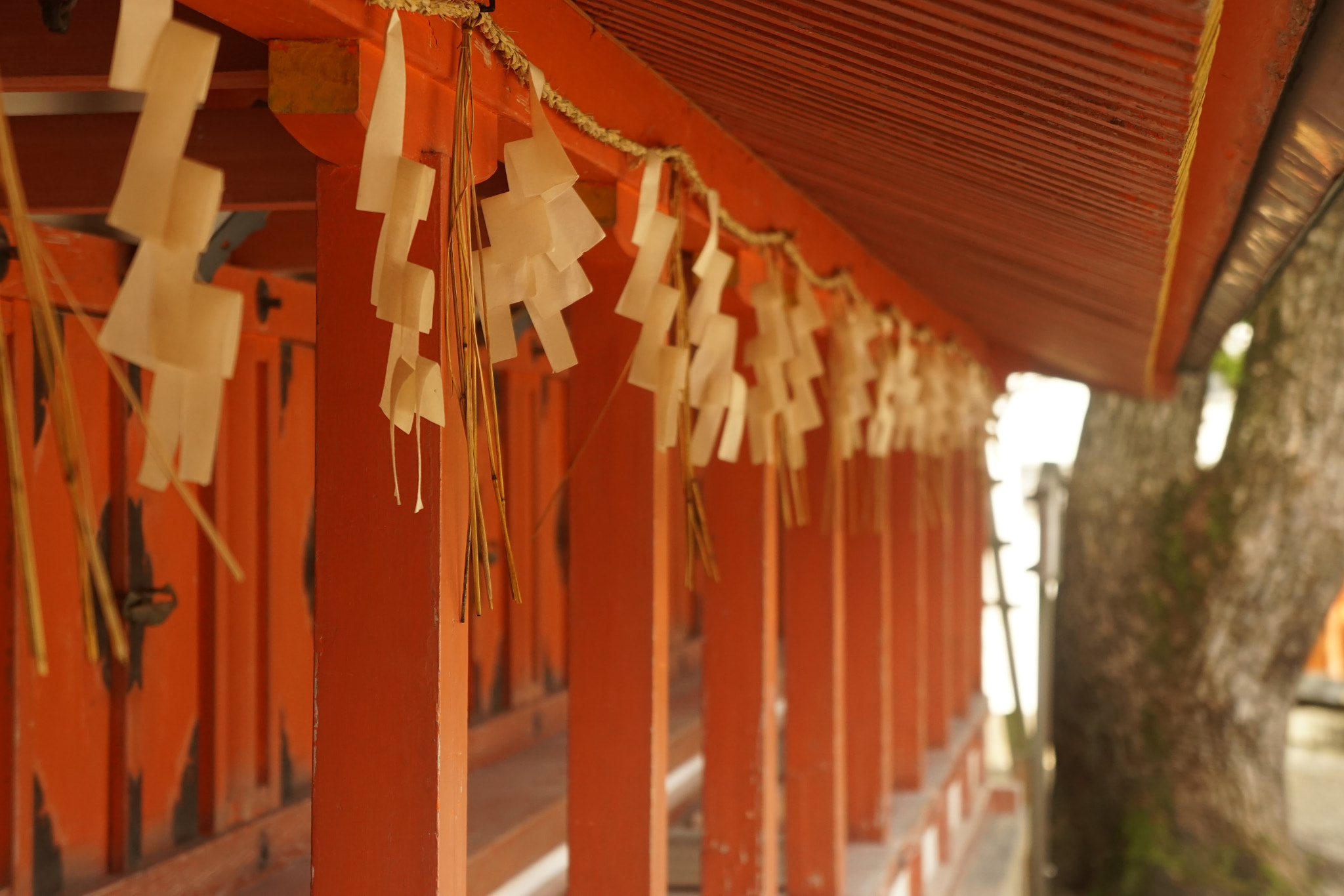 Sony E 18-55mm F3.5-5.6 OSS sample photo. Yasaka shrine photography