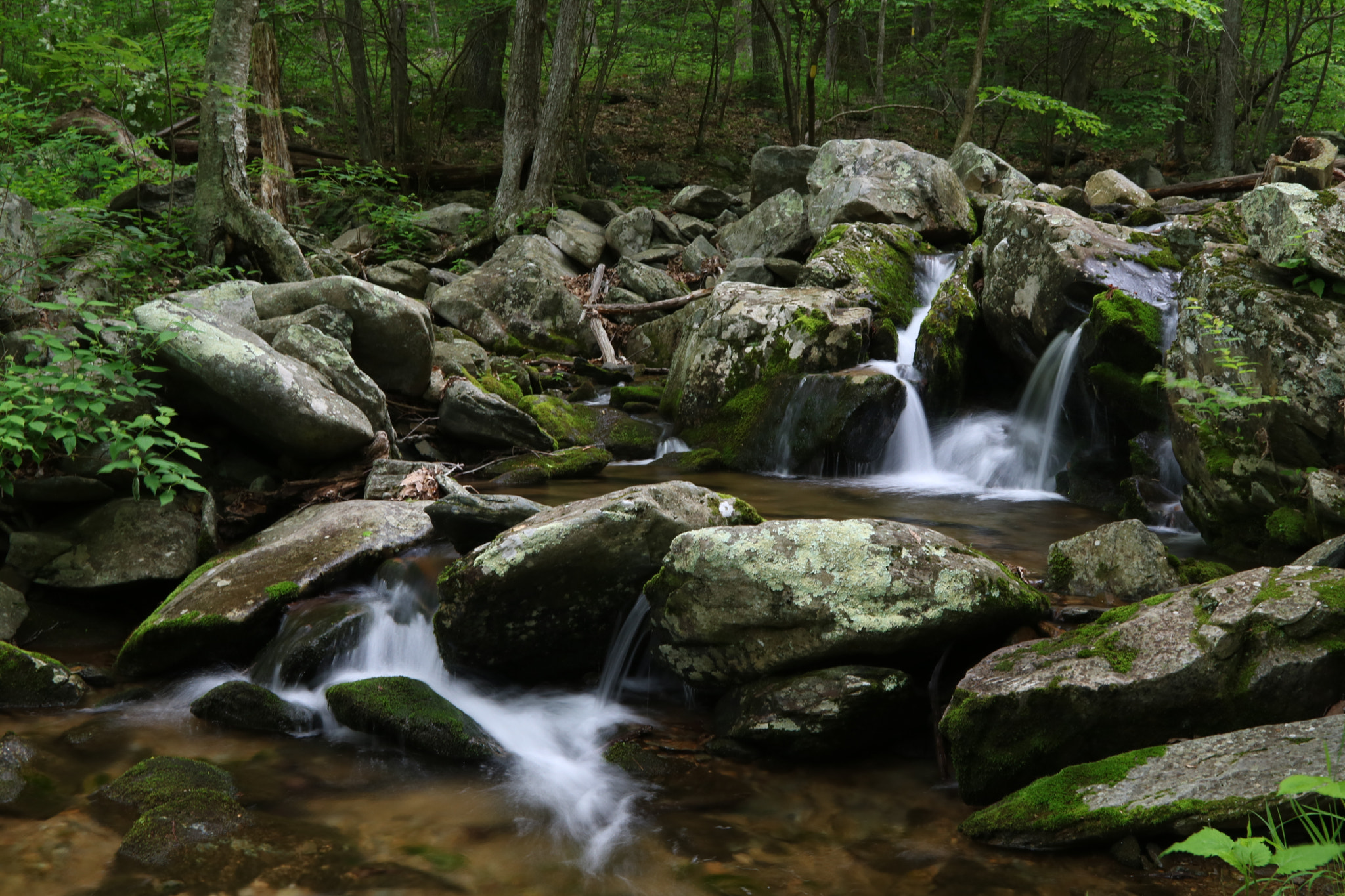 Canon EOS 760D (EOS Rebel T6s / EOS 8000D) sample photo. Double waterfall photography