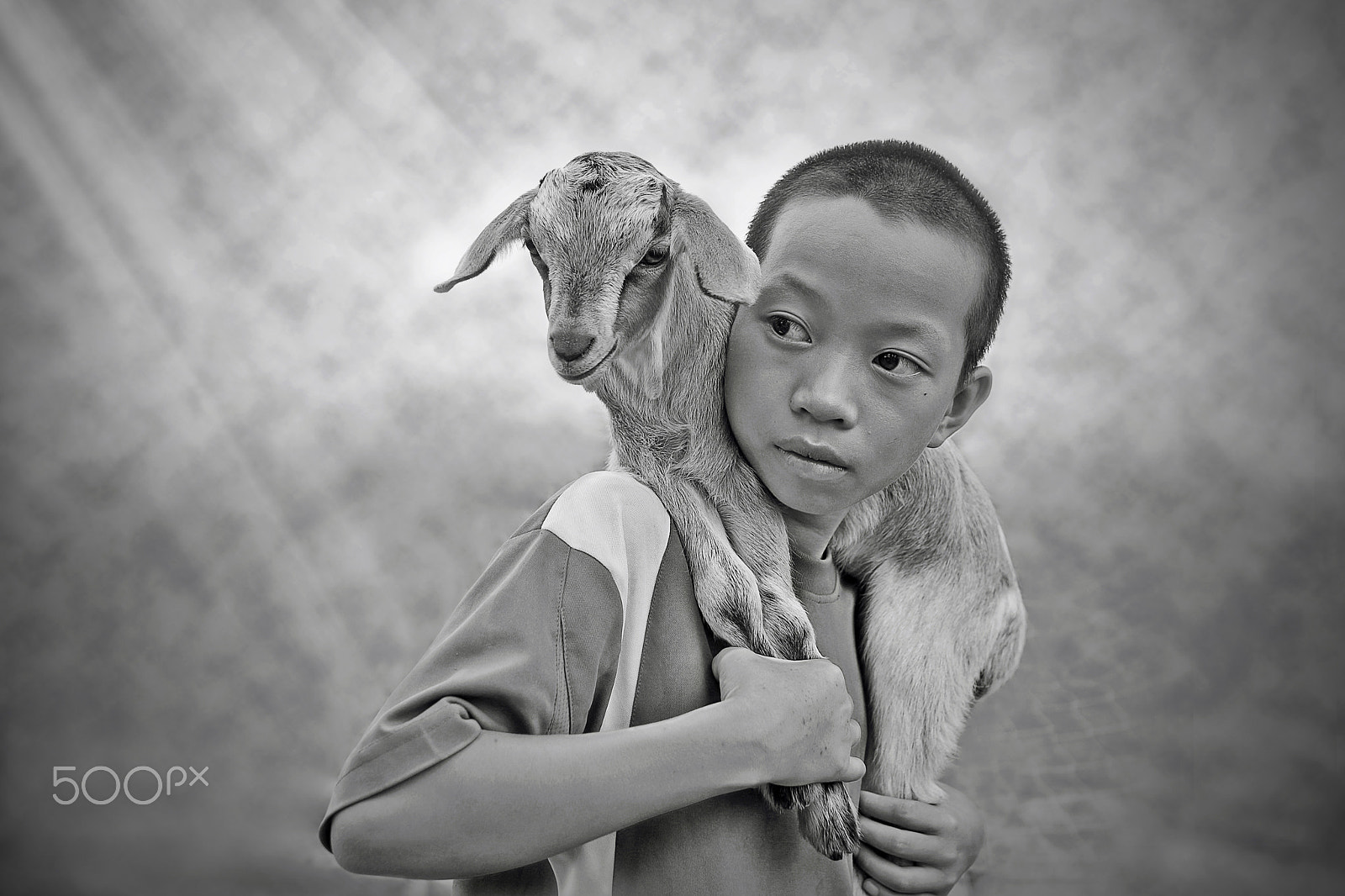 Canon EOS 700D (EOS Rebel T5i / EOS Kiss X7i) + Sigma 30mm F1.4 EX DC HSM sample photo. ฺboy with goat. photography