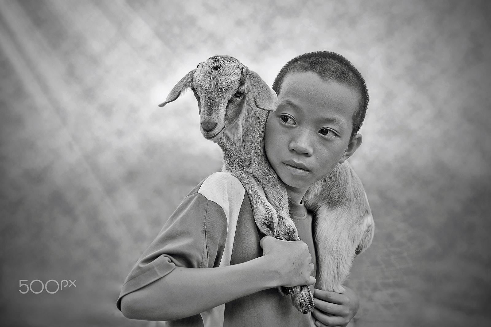 Sigma 30mm F1.4 EX DC HSM sample photo. ฺboy with goat. photography