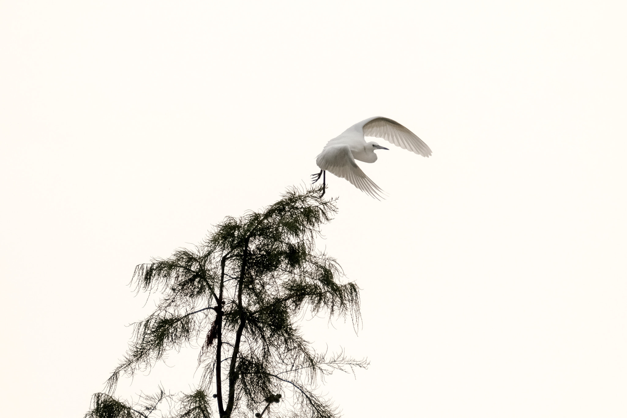 XF100-400mmF4.5-5.6 R LM OIS WR + 1.4x sample photo