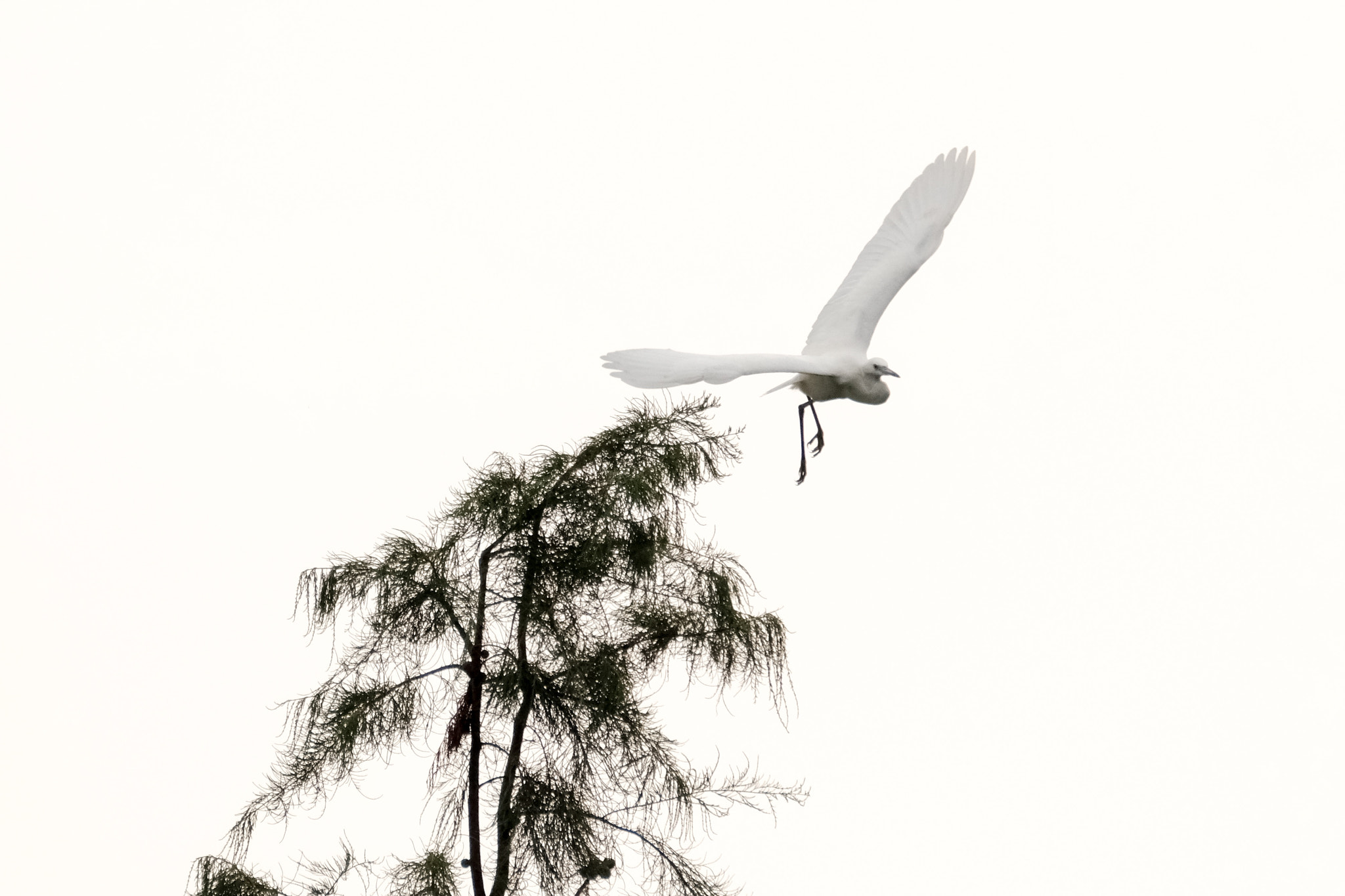 XF100-400mmF4.5-5.6 R LM OIS WR + 1.4x sample photo