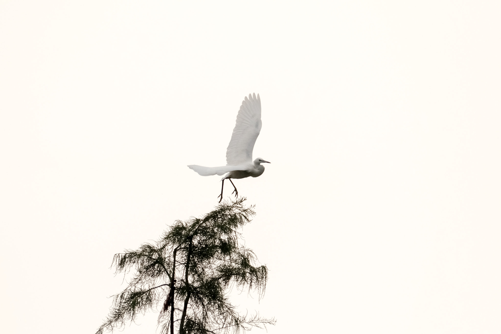 XF100-400mmF4.5-5.6 R LM OIS WR + 1.4x sample photo
