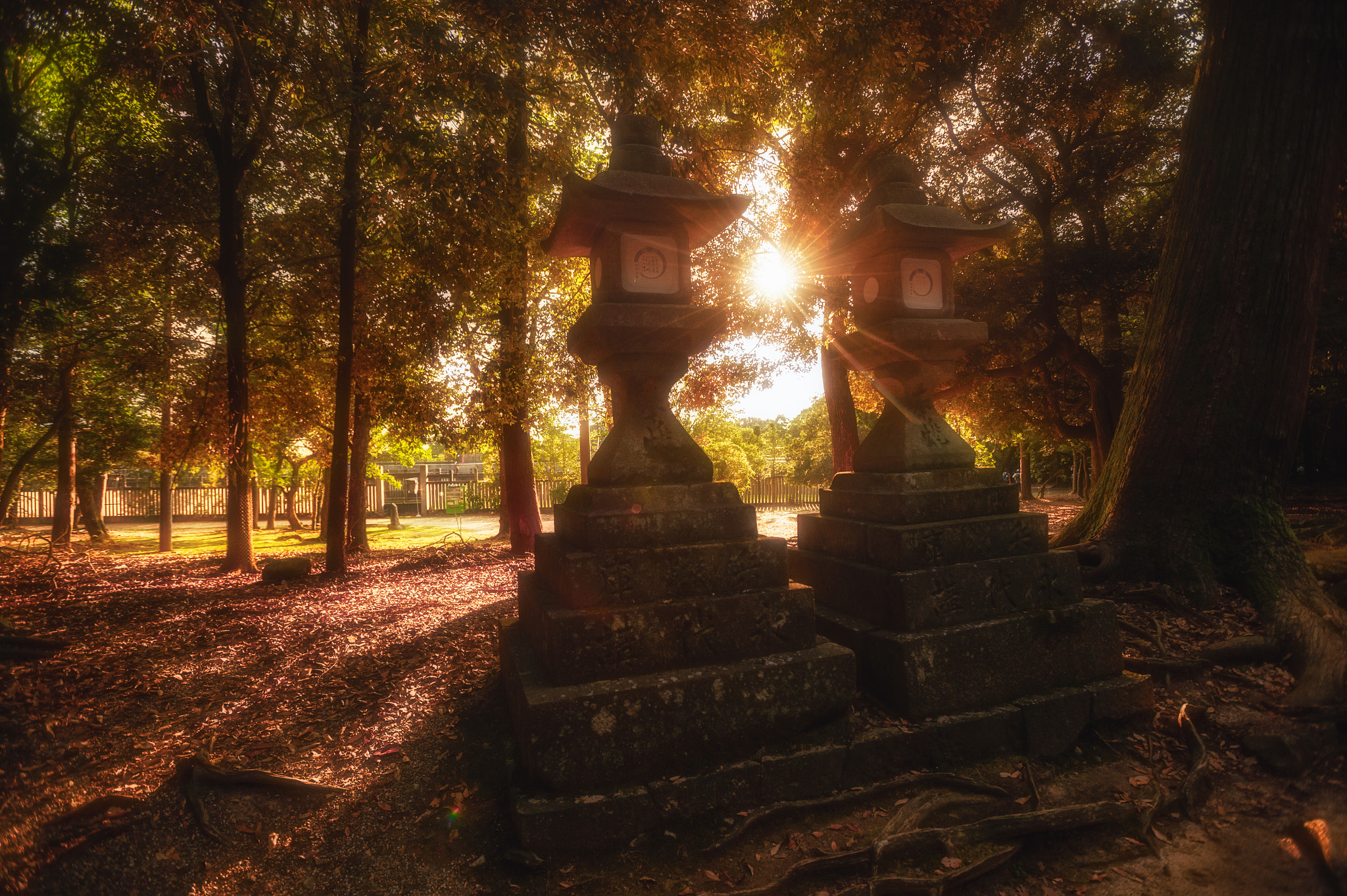 Nikon AF-S Nikkor 17-35mm F2.8D ED-IF sample photo. 0324. photography