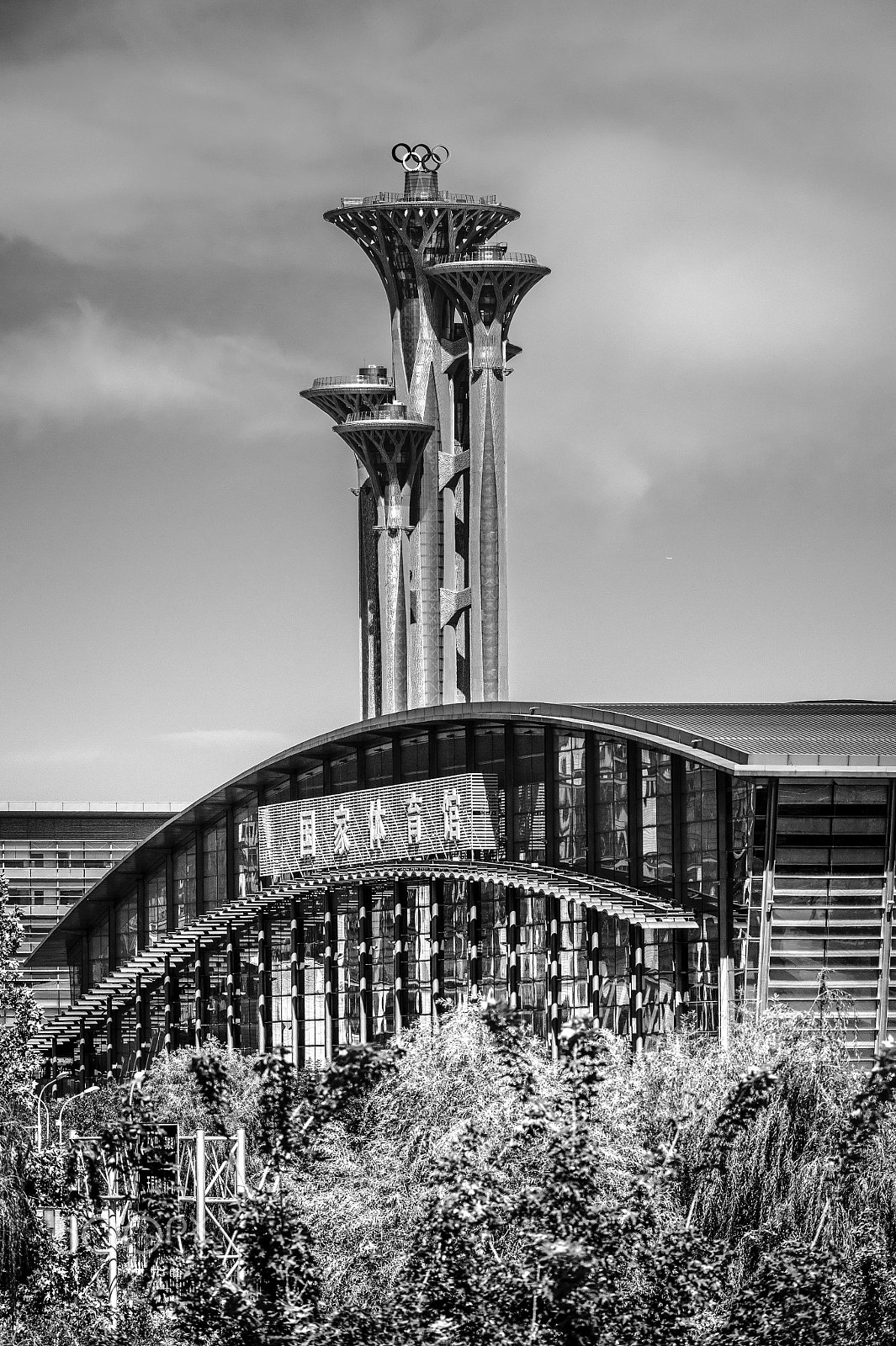 Nikon D4S sample photo. Beijing's 2008 olypic staion 8 years later... photography