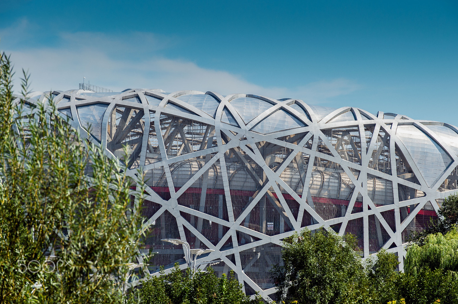 Nikon D4S sample photo. The bird's nest photography
