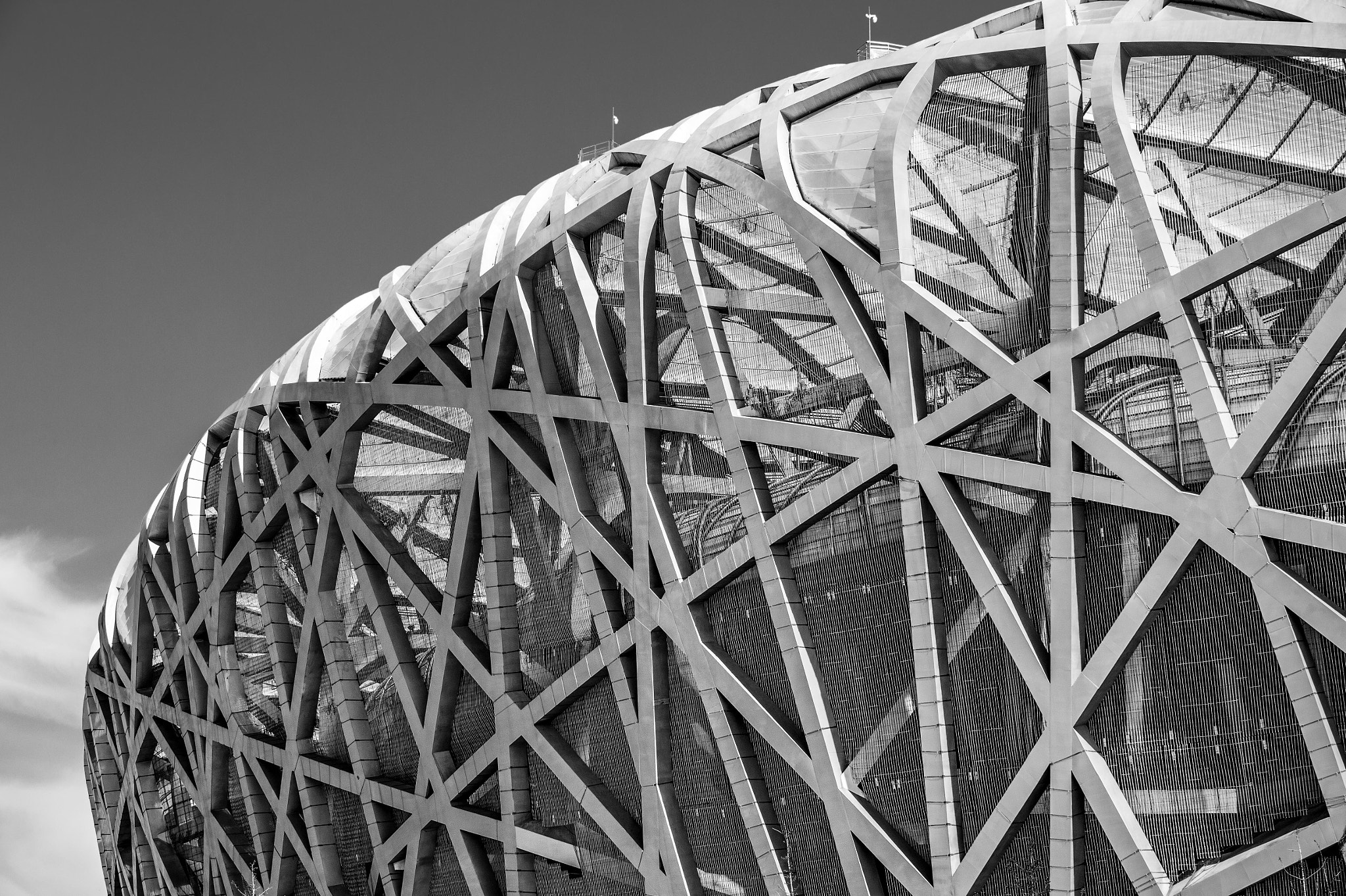 Nikon D4S sample photo. The bird's nest photography