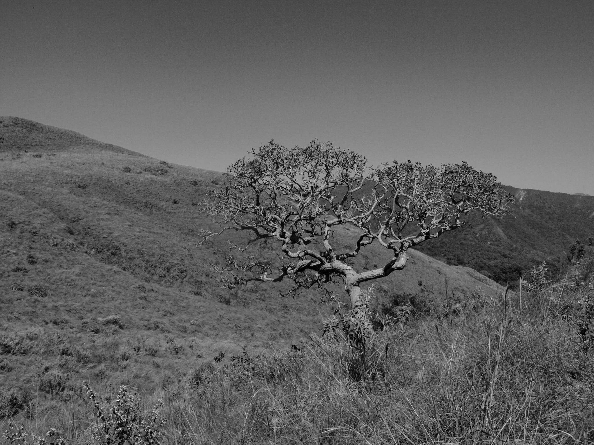 Olympus E-450 (EVOLT E-450) sample photo. Sous le vent – parque nacional amboró, bolivia photography