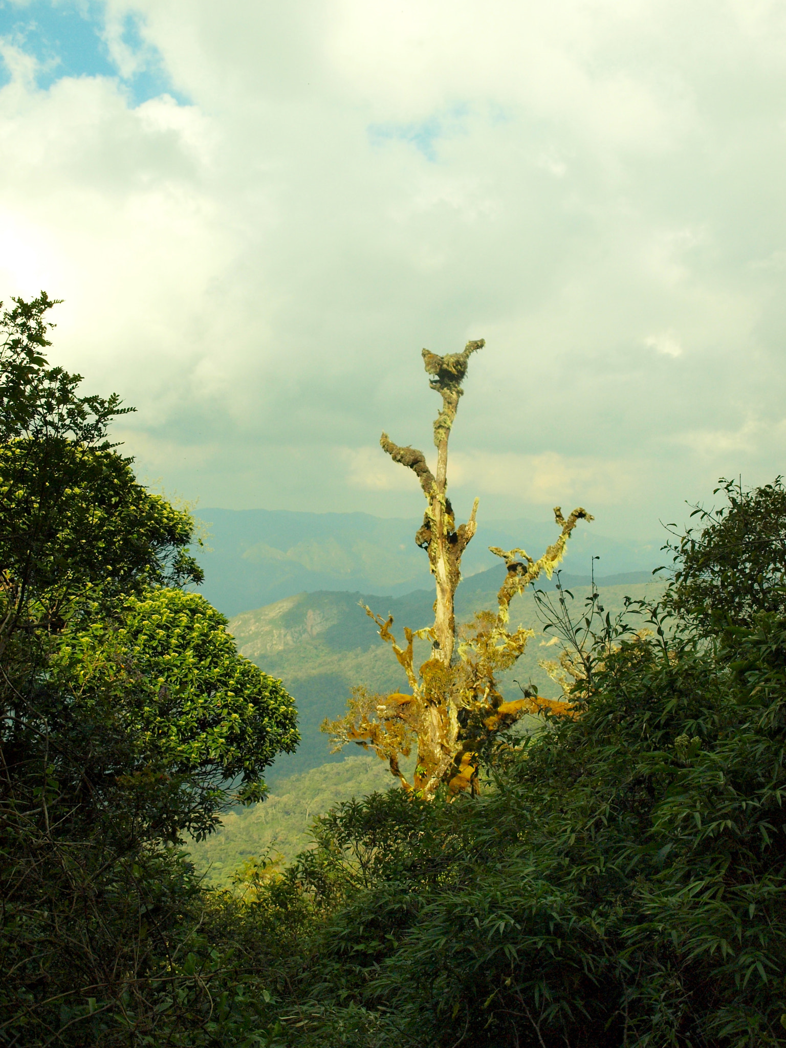 Olympus E-450 (EVOLT E-450) sample photo. Dans la jungle couleur – parque nacional amboró photography
