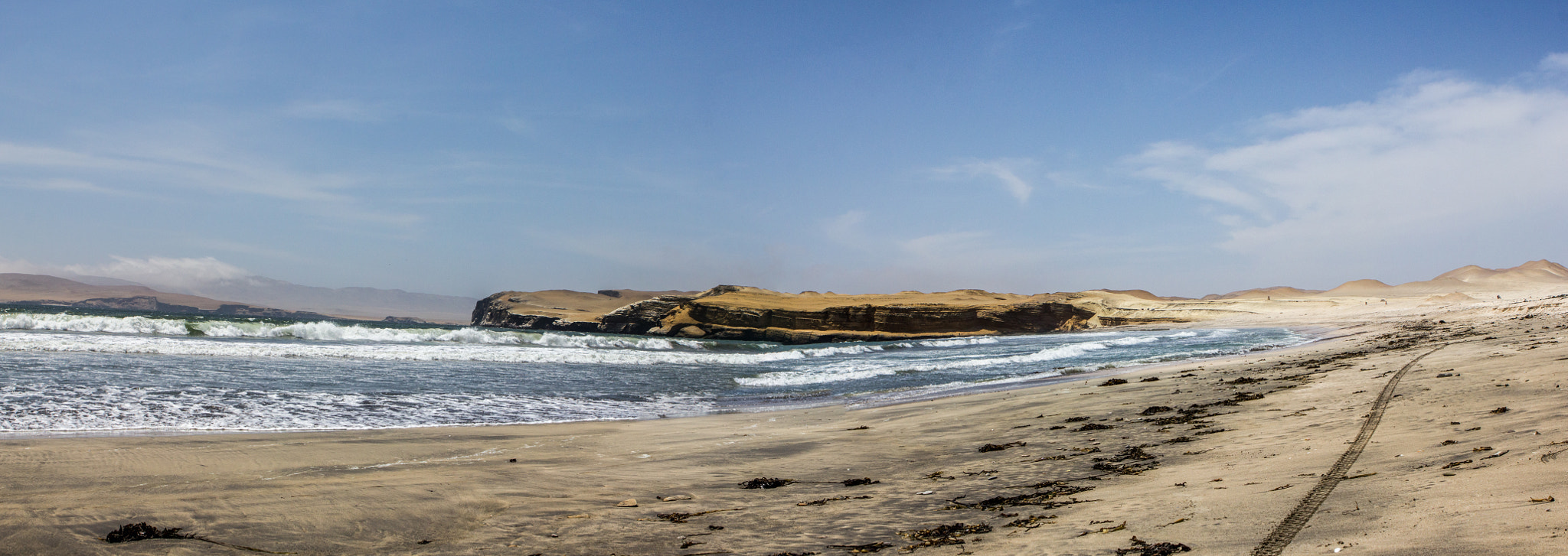 Canon EOS 550D (EOS Rebel T2i / EOS Kiss X4) + Canon EF 24-70mm F2.8L USM sample photo. Paracas national reserve photography