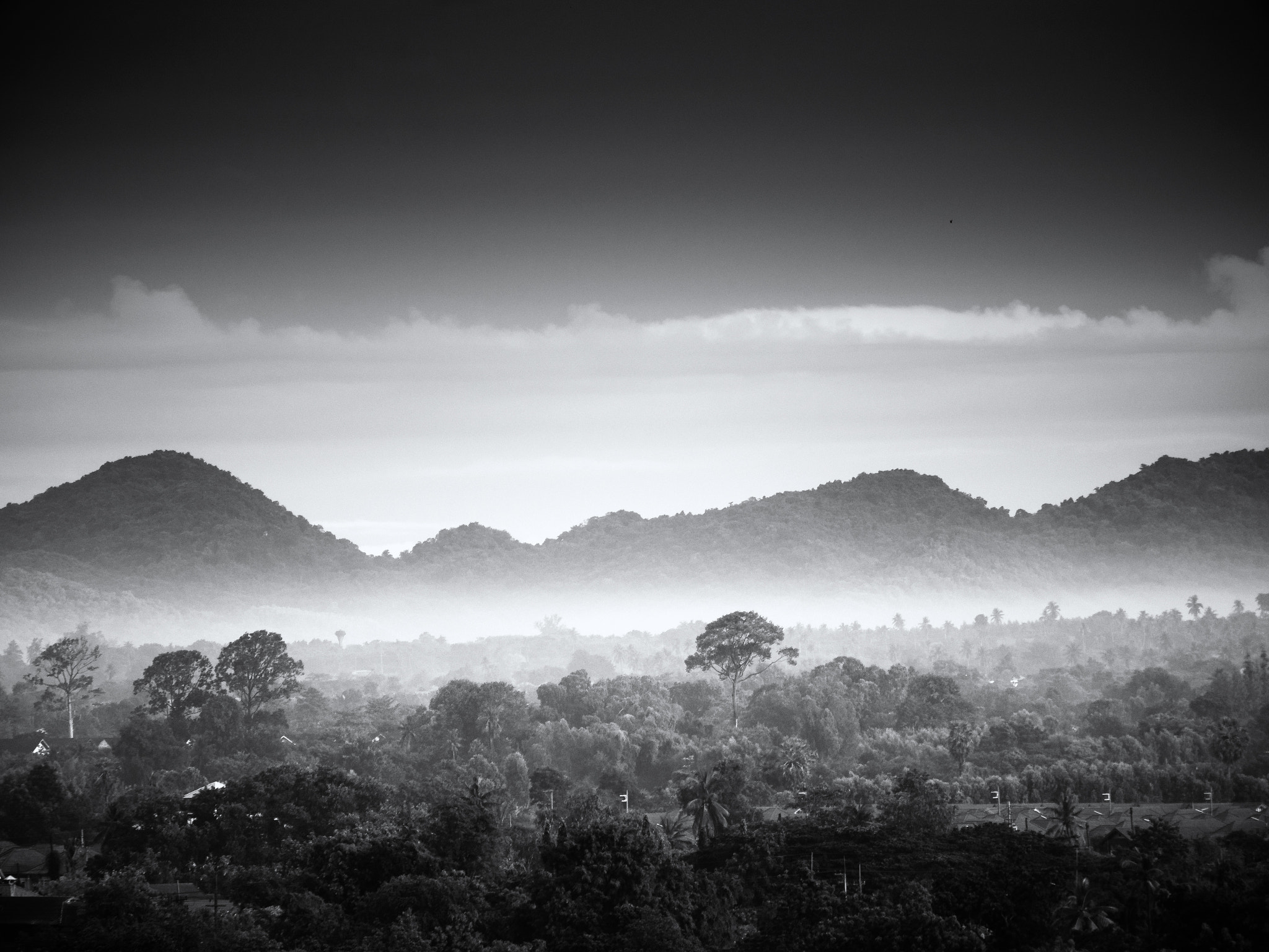 Panasonic Lumix DMC-GX8 sample photo. Misty morning 2 photography