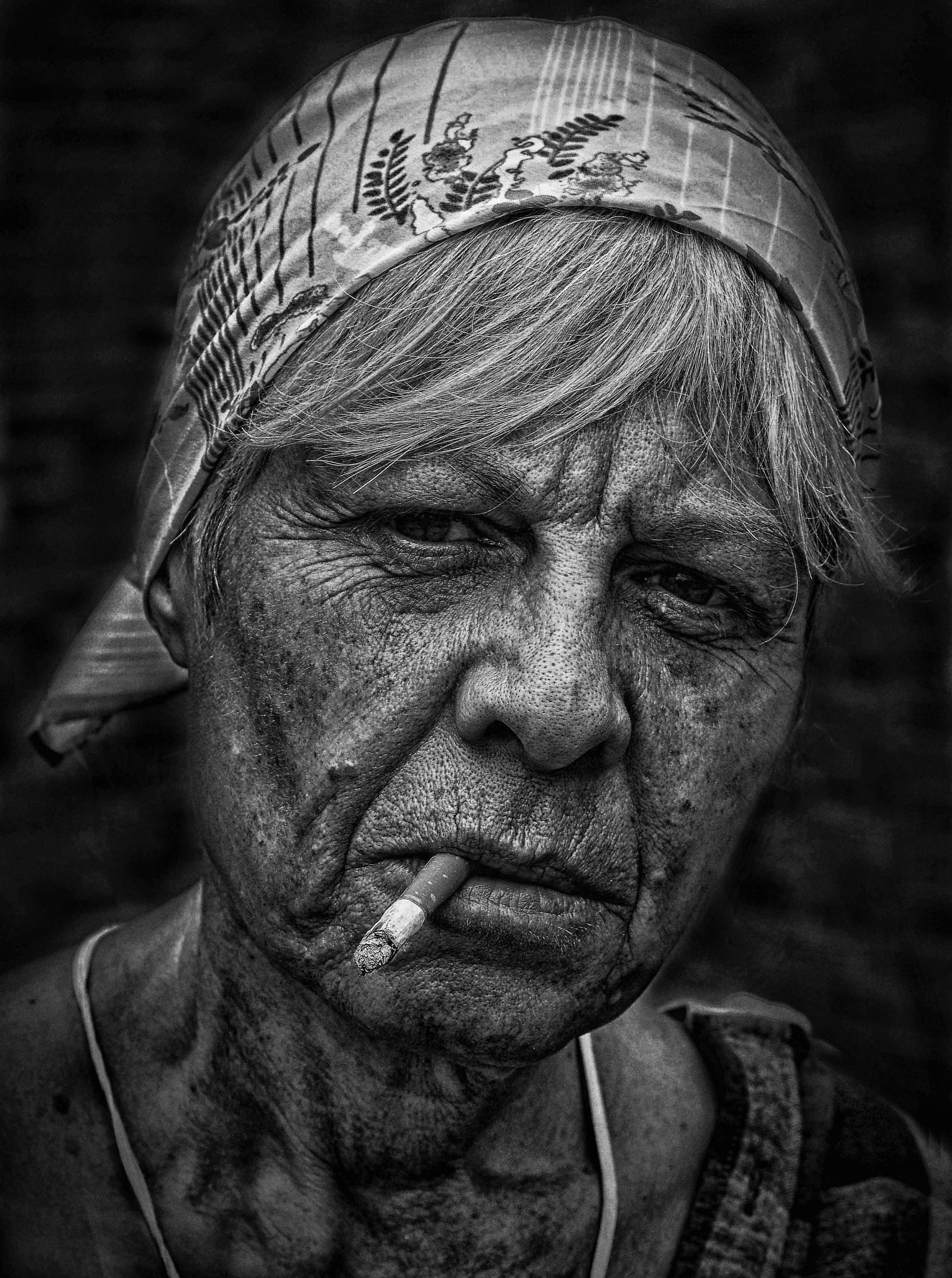 Nikon D800 + Sigma 24-105mm F4 DG OS HSM Art sample photo. Robin monochromed photography