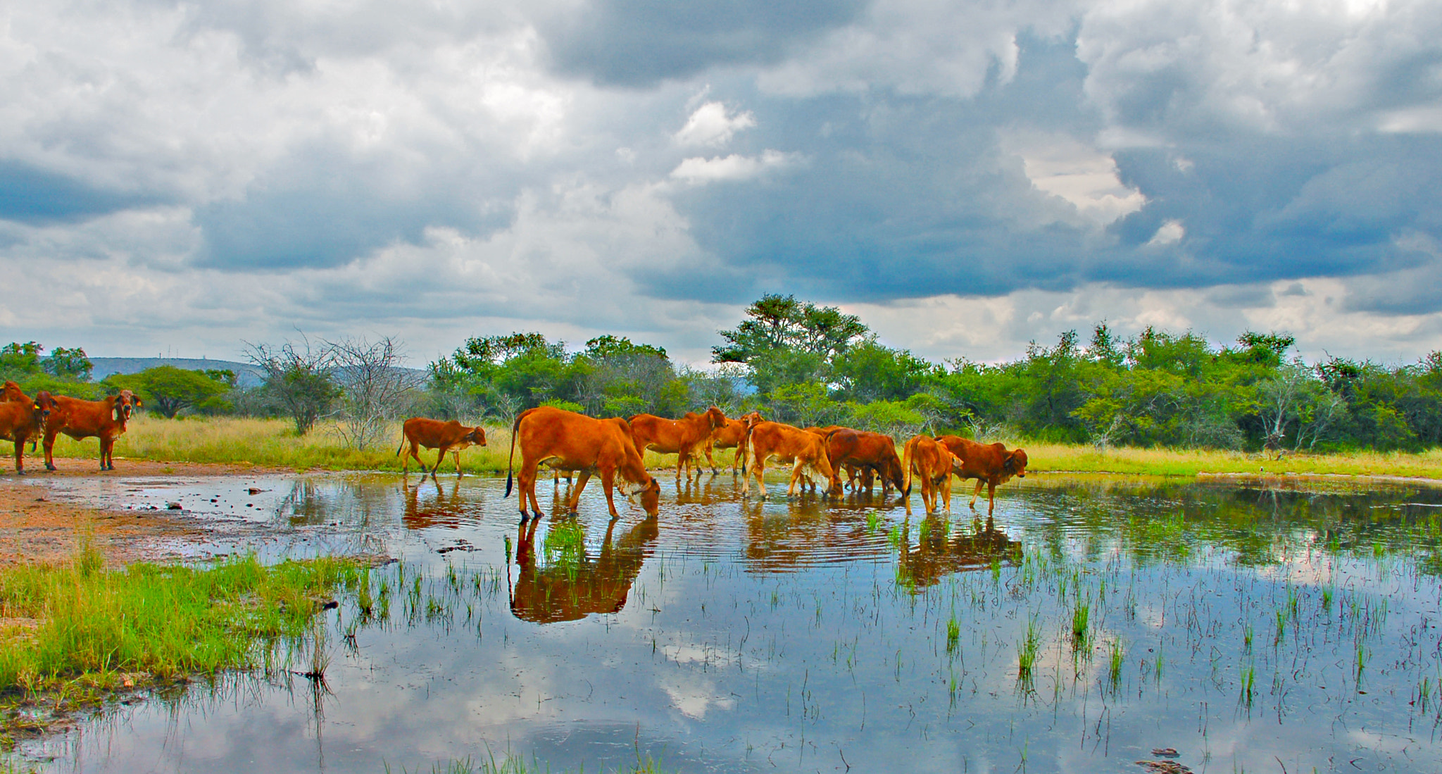 Nikon D50 sample photo. No pasto photography