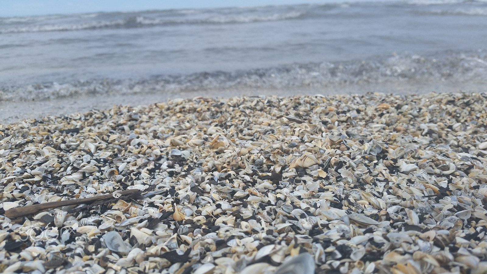 Samsung Galaxy S5 Active sample photo. 20150528_121550.jpg photography