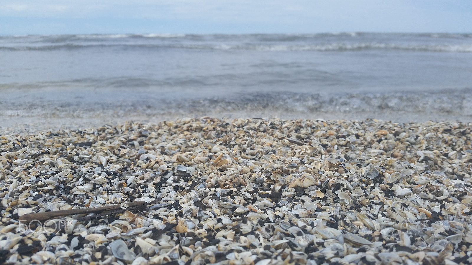 Samsung Galaxy S5 Active sample photo. 20150528_121555.jpg photography