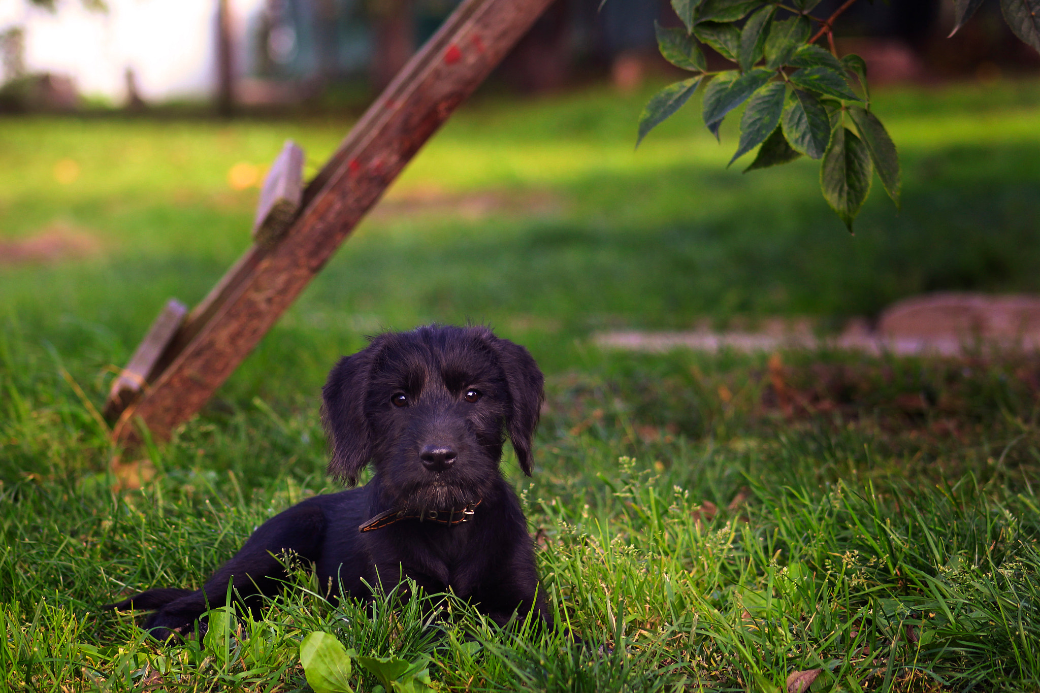 Canon EF 75-300mm f/4-5.6 USM sample photo. Watcher photography