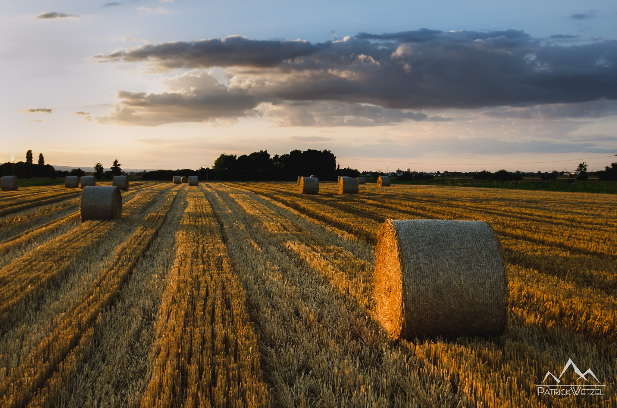 Sigma 18-200mm F3.5-6.3 DC OS HSM sample photo. Cornfield photography