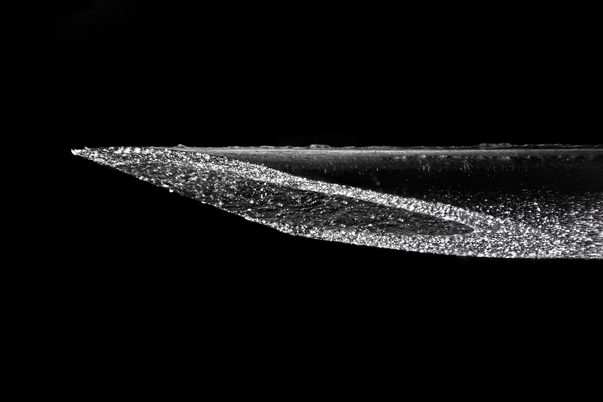 Canon EF-S 55-250mm F4-5.6 IS II sample photo. Needle photography