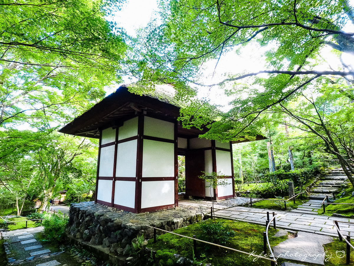 Olympus Zuiko Digital ED 9-18mm F4.0-5.6 sample photo. 常寂光寺 photography