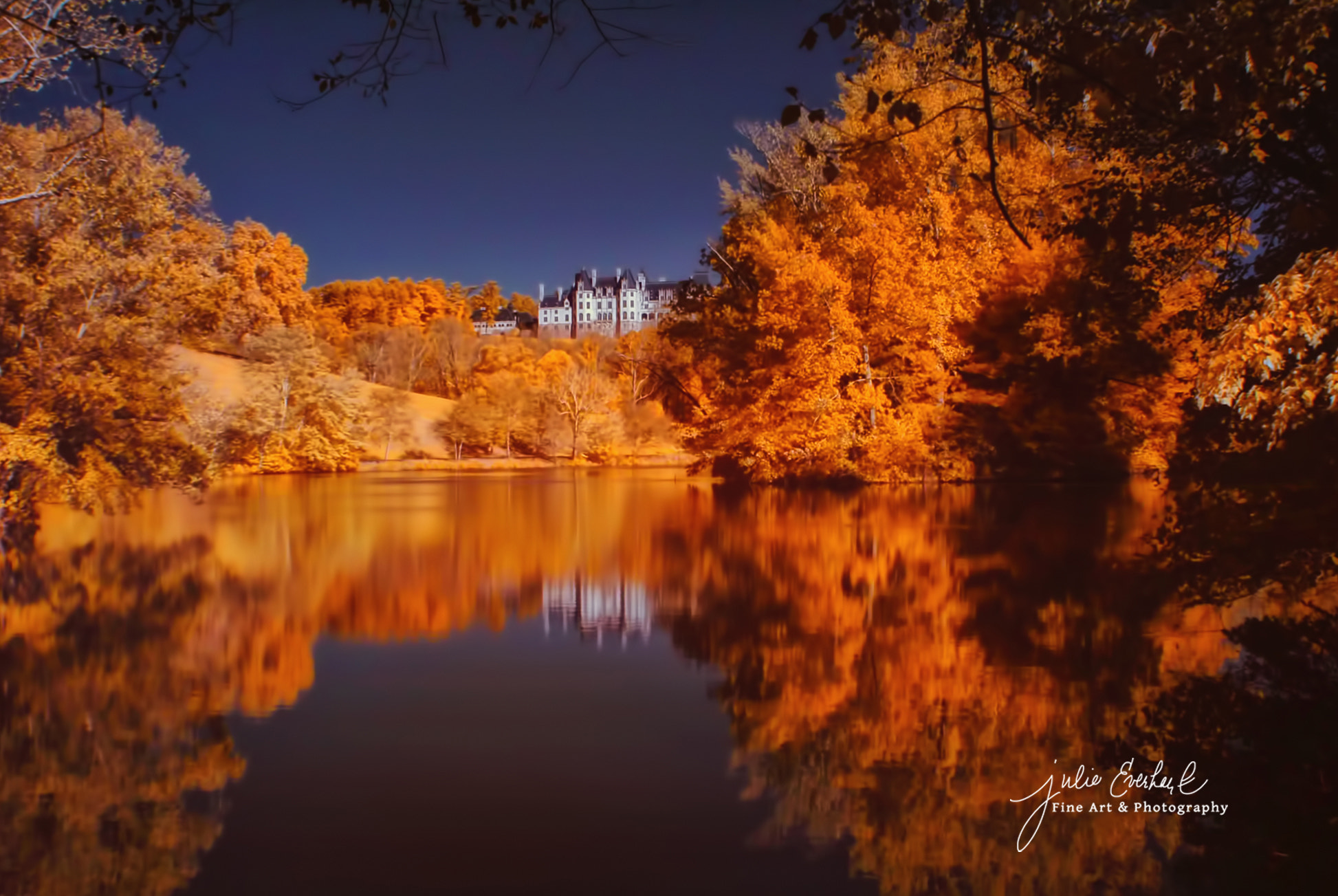 Nikon D70 sample photo. Biltmore in autumn photography